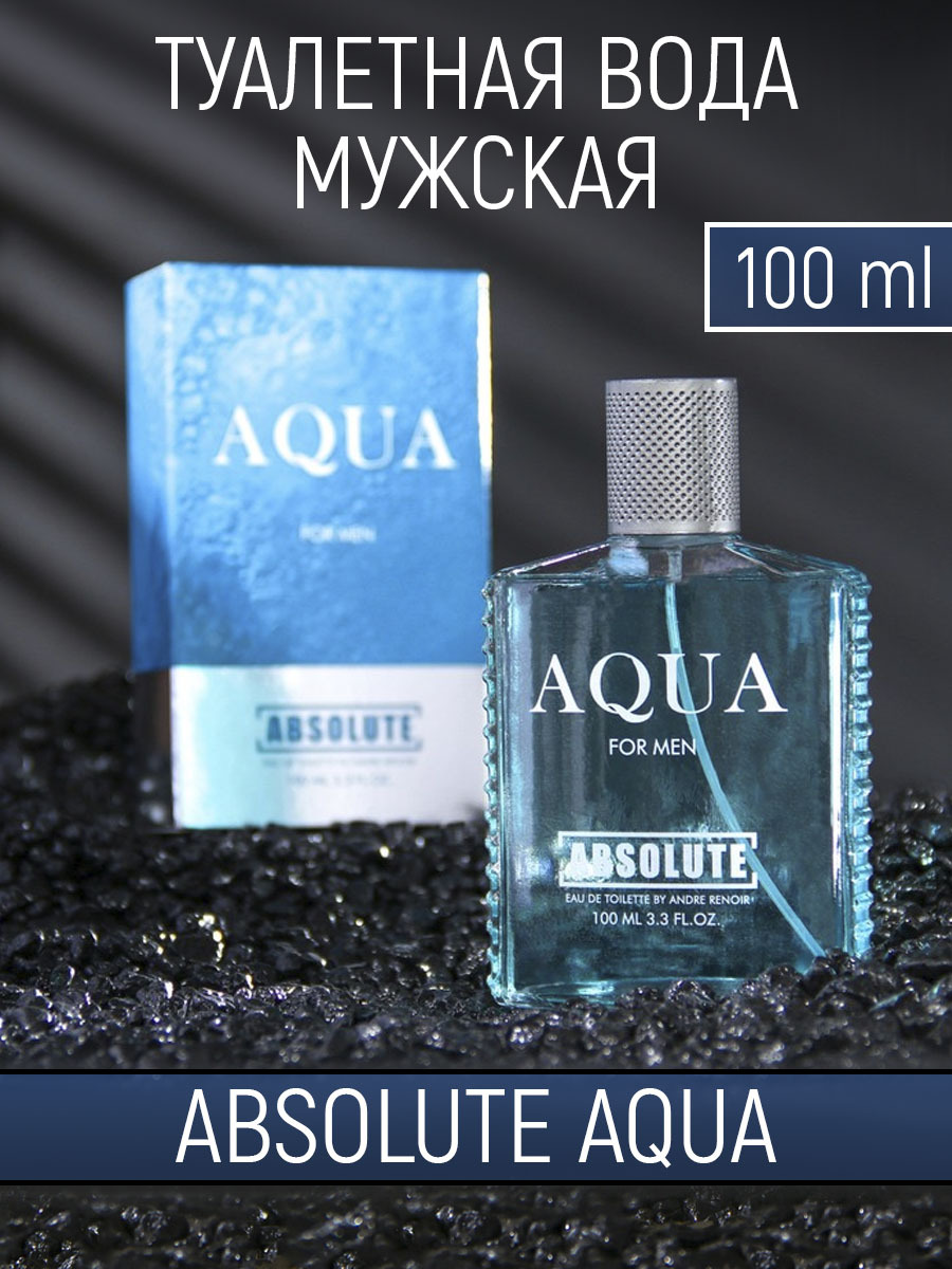 Today Parfum мужская Absolute Aqua, 100 мл Туалетная вода 100 мл (525744497)