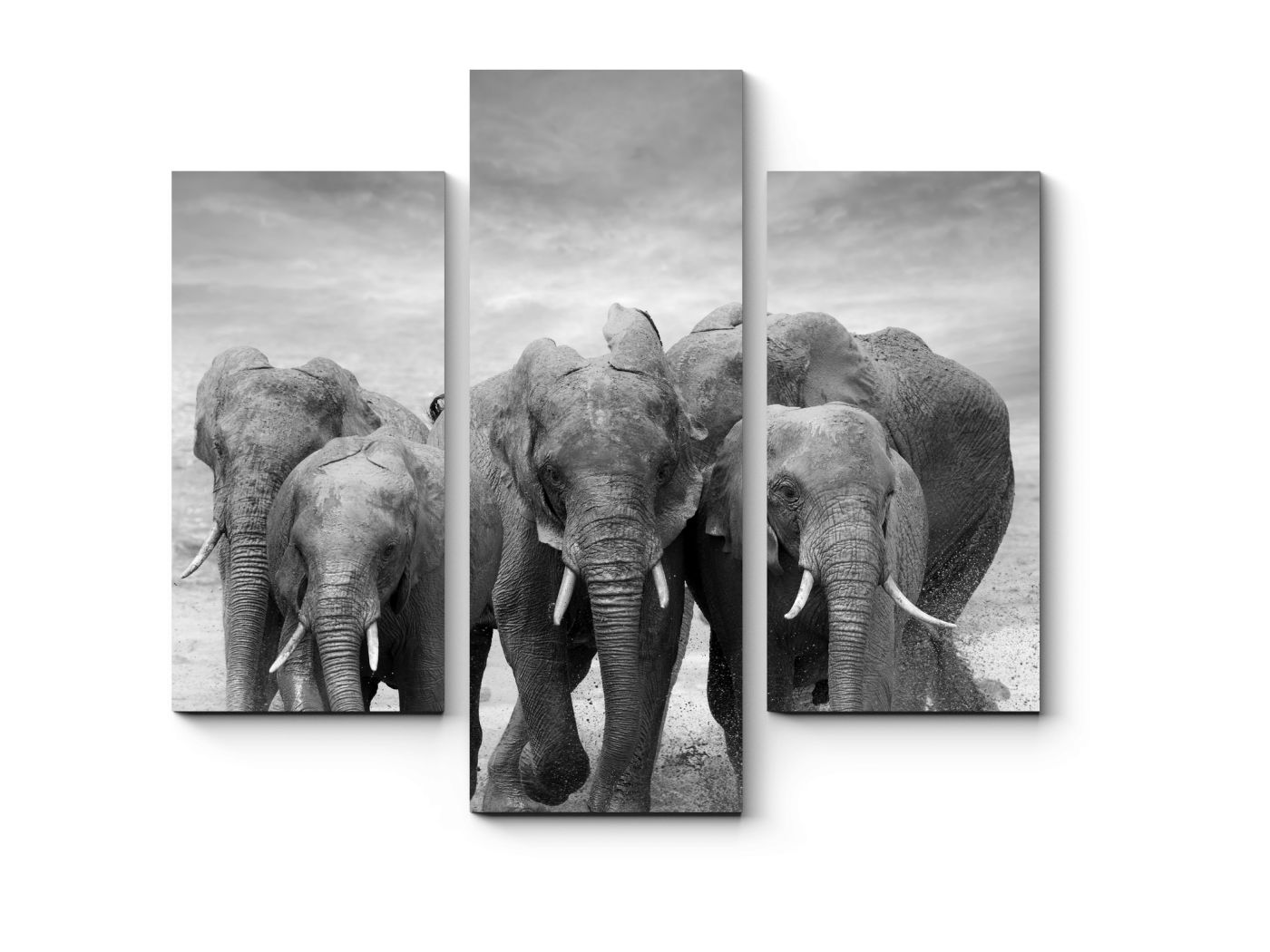 Модульная картина слоны