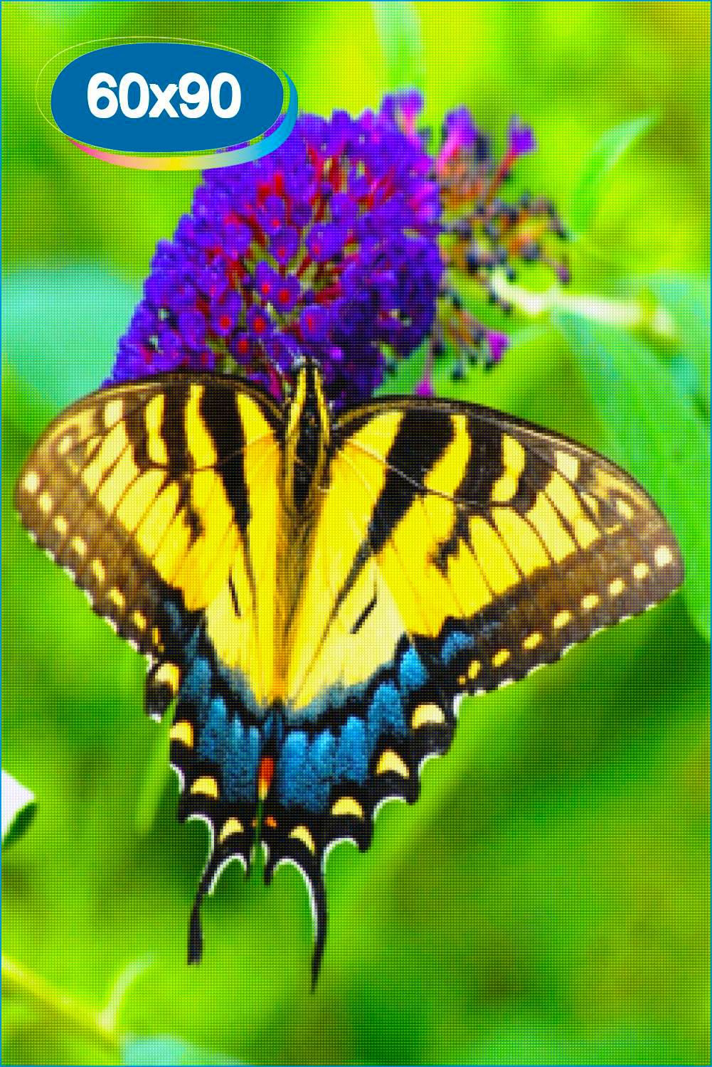 Бабочка с яркими крыльями. Парусник Маака. Махаон (бабочка). Махаон Маака бабочка. Бабочка парусник Махаон.