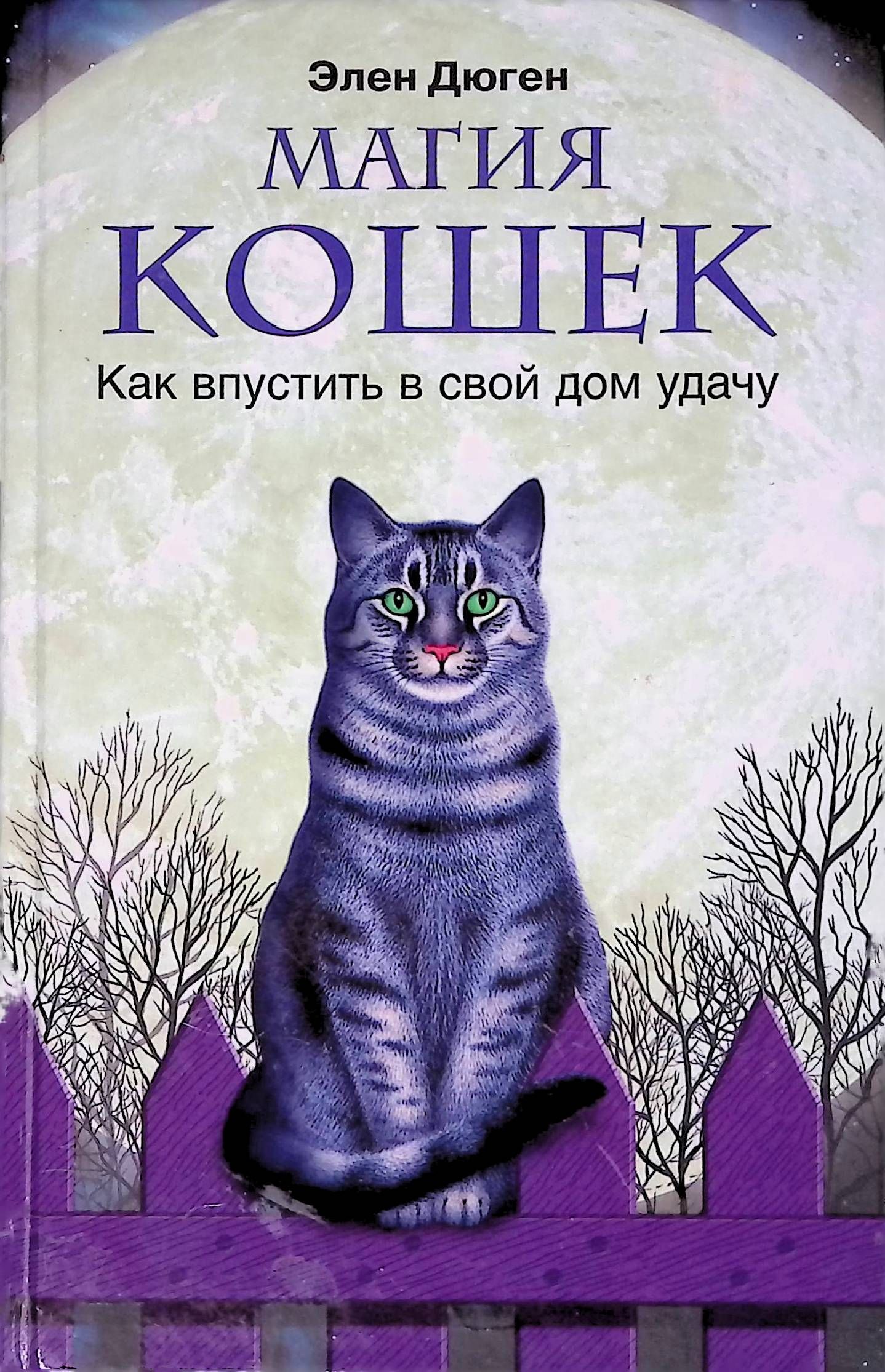 Магический кот и книга