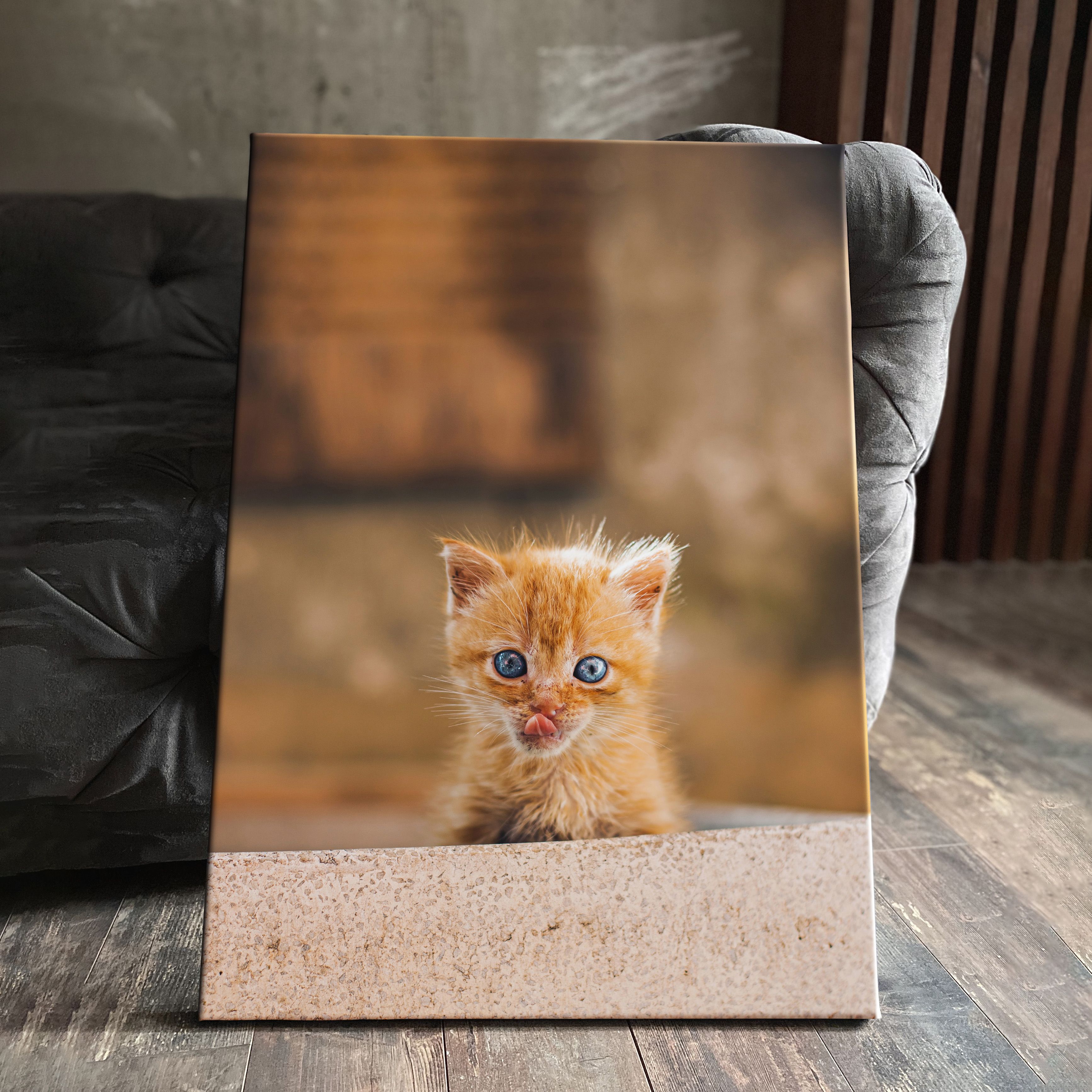 Холсты рыжий кот. Кот картина маслом. Картина по номерам рыжий кот. Кот утеплитель рыжий. Картина на холсте рыжий кот в доме.