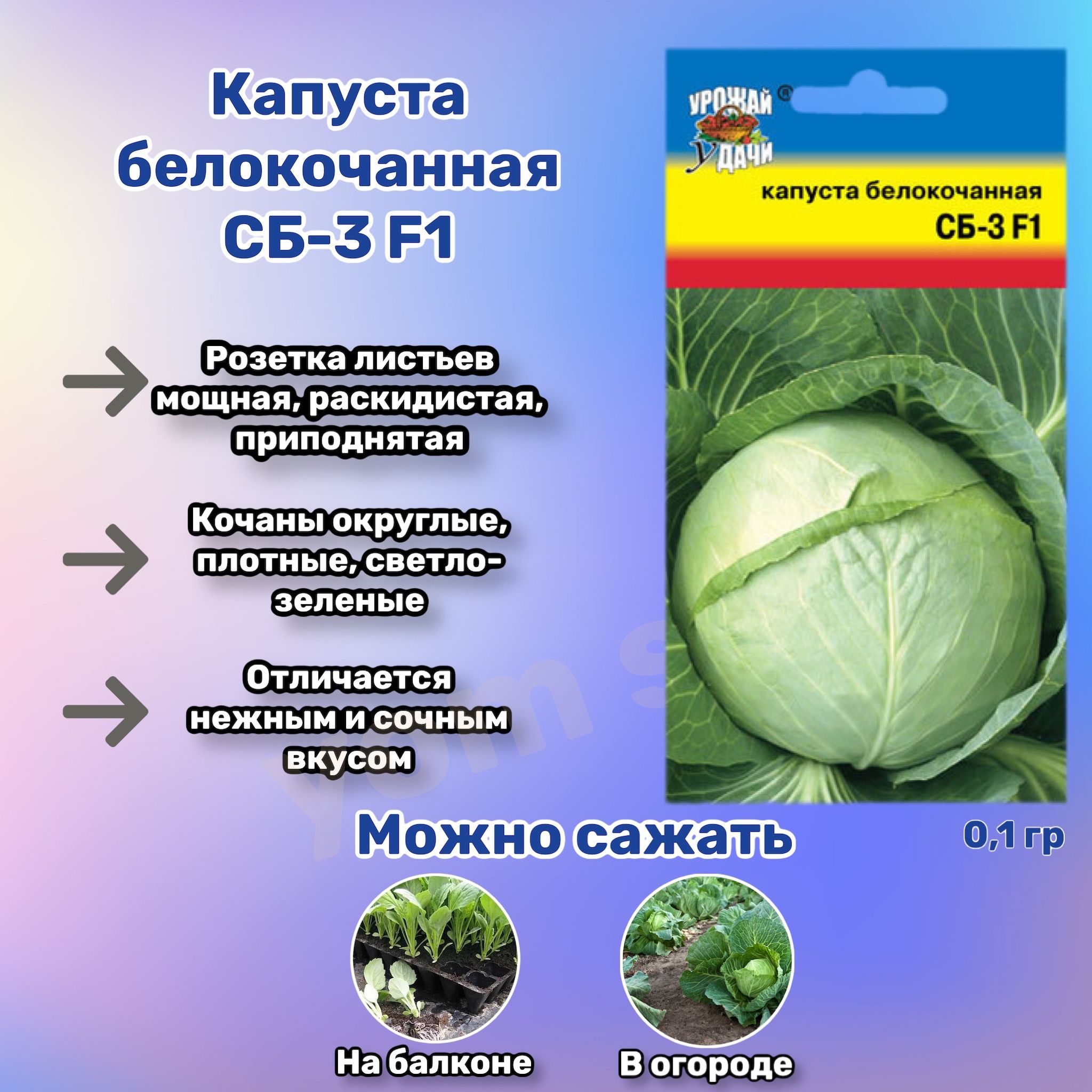 Капуста белокочанная сб 3 ф1. Капуста Слава белорусская. Капуста Гавриш белокочанная белорусская 455 для квашения б/п 0,05 г 1071859846. Штрих код русский огород капуста Слава 1305. Капуста слава описание отзывы