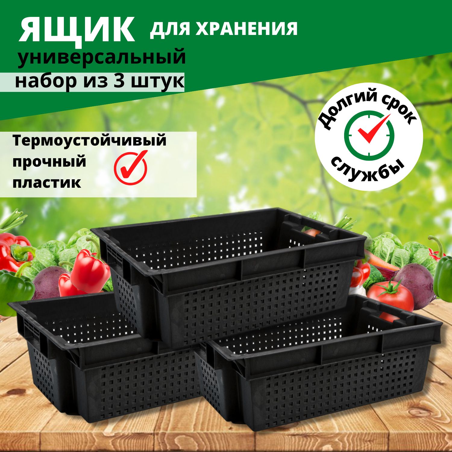 Контейнер для Хранения Овощей и Фруктов купить на OZON по низкой цене