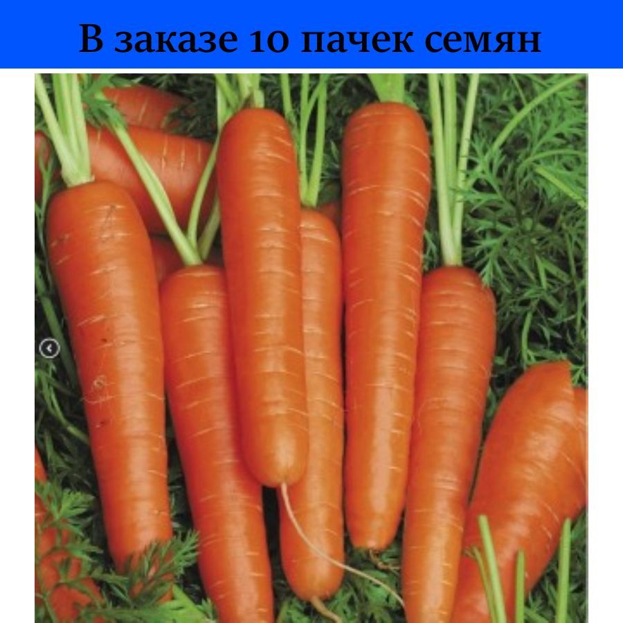 Морковь тангерина f1