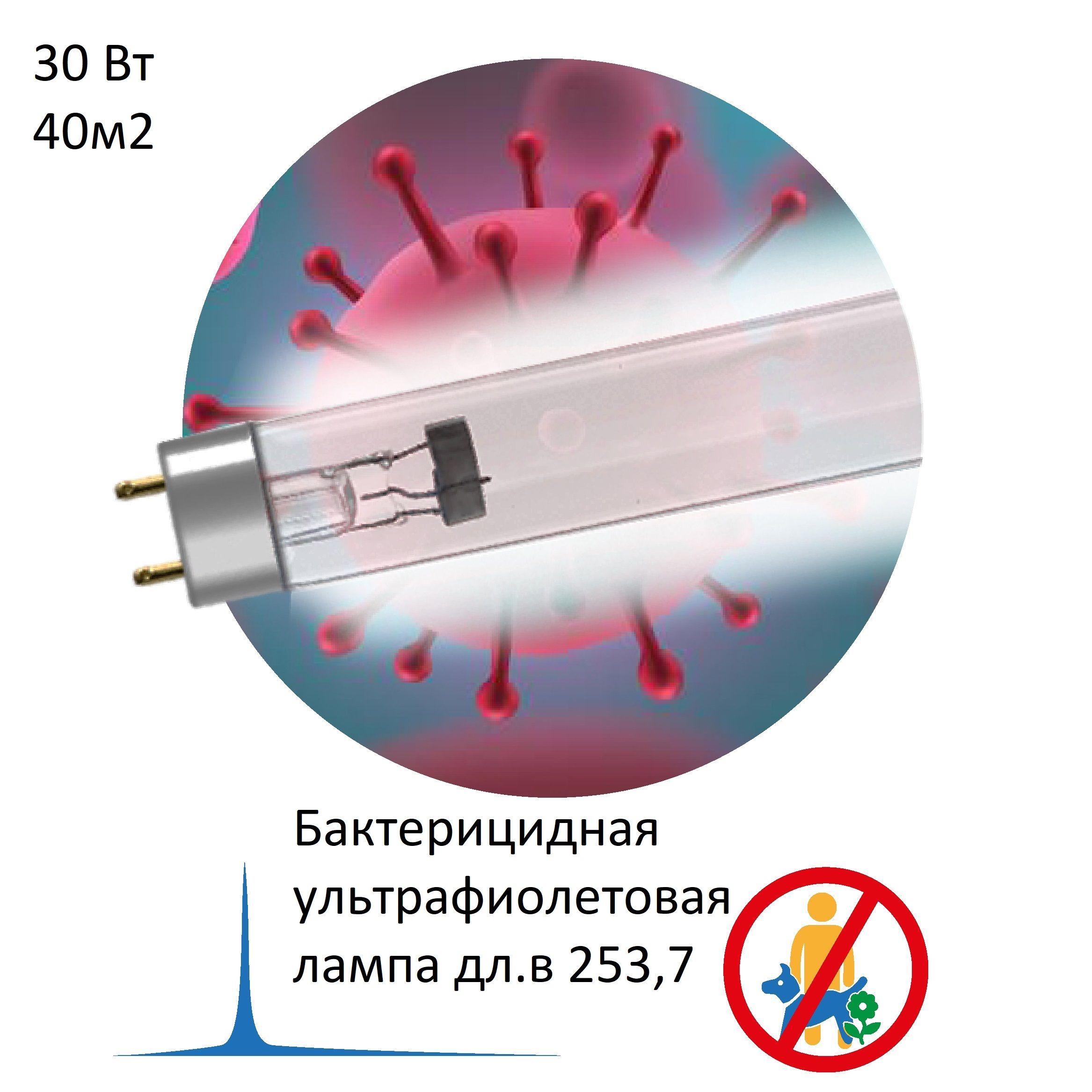 Бактерицидная лампа в рециркулятор бактерицидный 30вт G13 - купить с  доставкой по выгодным ценам в интернет-магазине OZON (812203511)