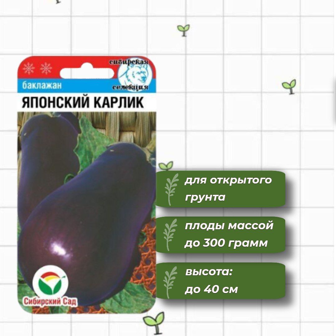 Баклажан Японский Карлик Отзывы Фото Урожайность