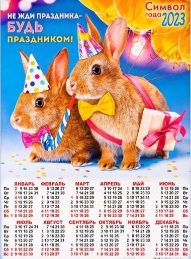 Календарь на 25 год красочный Календарь 2023 год - купить в интернет-магазине OZON с быстрой доставкой