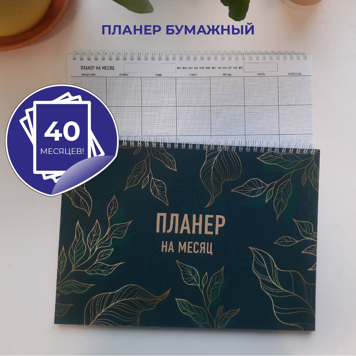 Планер настольный / планинг горизонтальный на 3 года (40 месяцев), недатированный, формат А4, плотные листы, крепление на кольцах, разбивка по месяцам, обложка: золотые листья на зелёном купить на OZON по низкой цене (808051306)