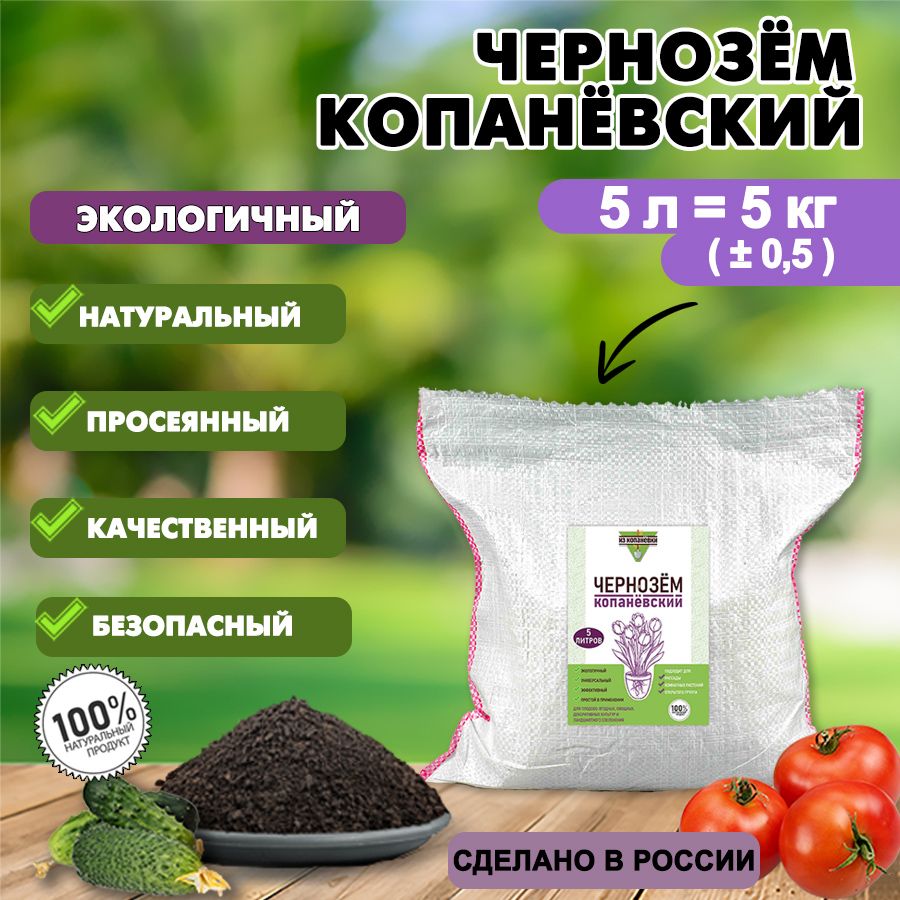 Чернозем Грунт – купить в интернет-магазине OZON по низкой цене