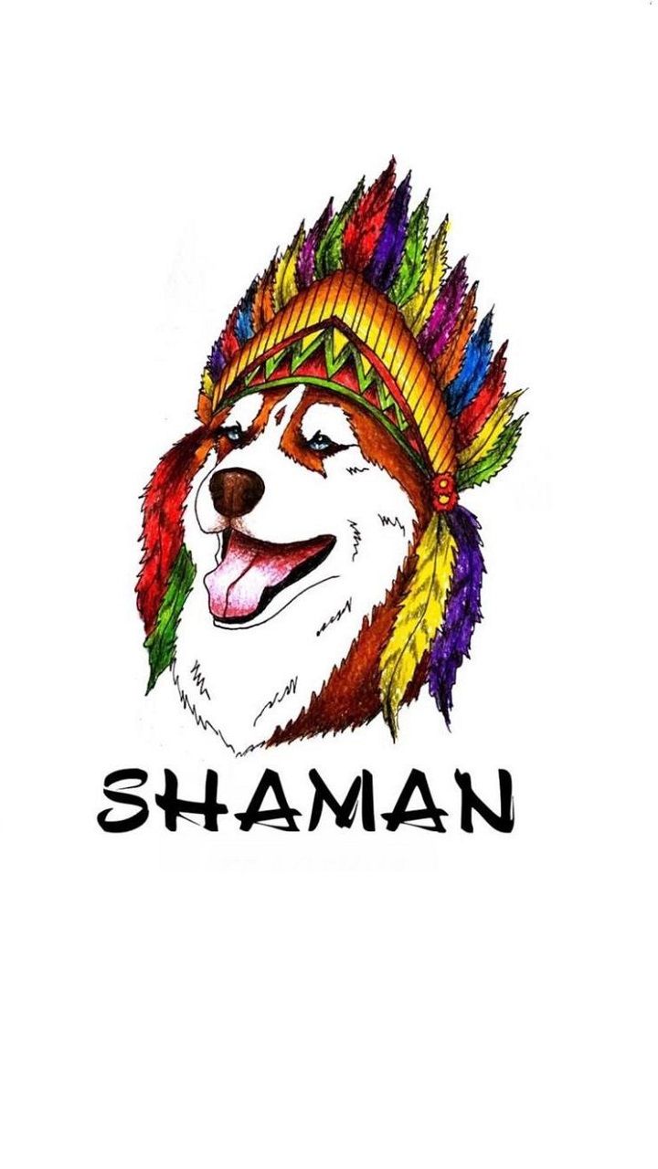 Shaman — купить товары Shaman в интернет-магазине OZON