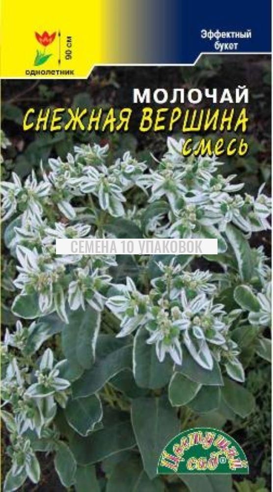 молочай окаймленный эуфорбия. молочай килиманджаро. молочай горный хрусталь. молочай авасмонтана. молочай окаймленный горный снег.