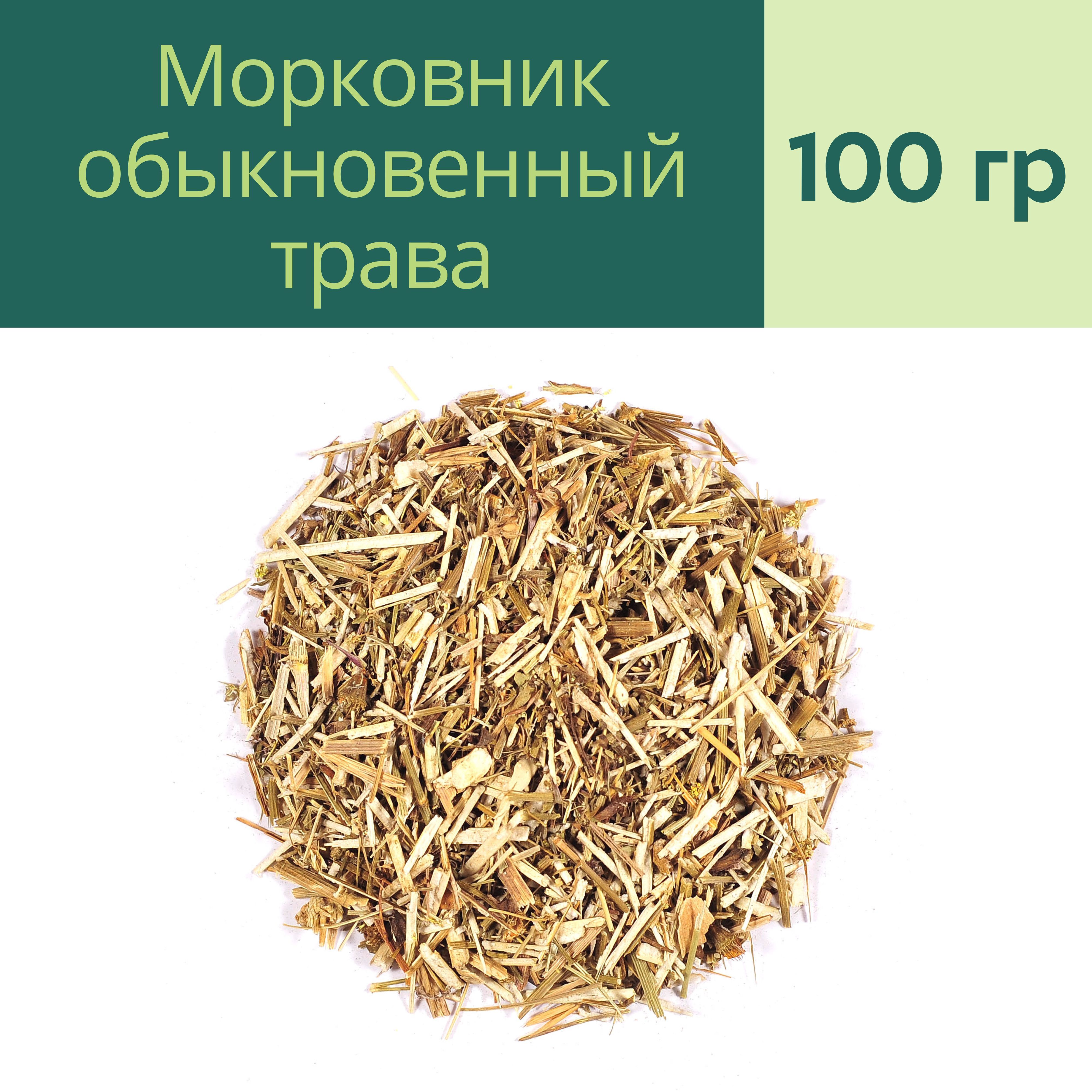 Вех ядовитый (Cicuta virosa)