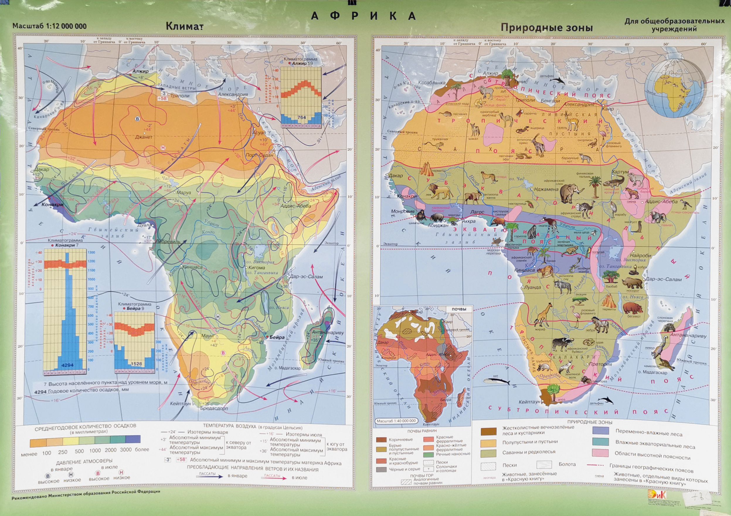Климат природных зон. Карта природных зон Африки с животными. Карта растительности Африки. Карта природных зон и обитателей Африки. Растения Африки на контурной.
