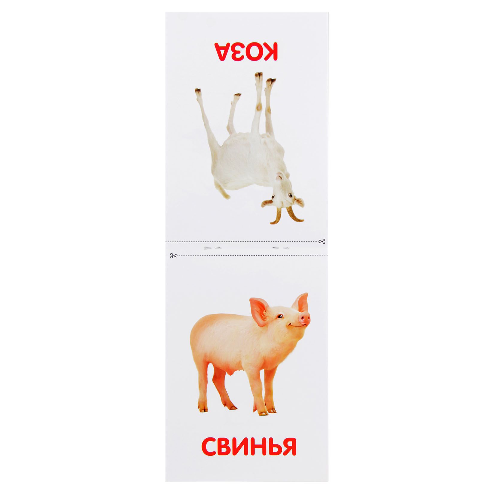 Карточки Домана Для Самых Маленьких Купить