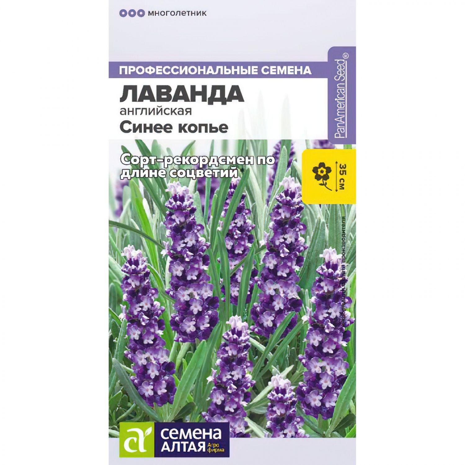 Семена лаванда интернет магазин. Лаванда синее копье семена Алтая. Лаванда узколистная синее копье. Лаванда узколистная семена. Лаванда английская узколистная.