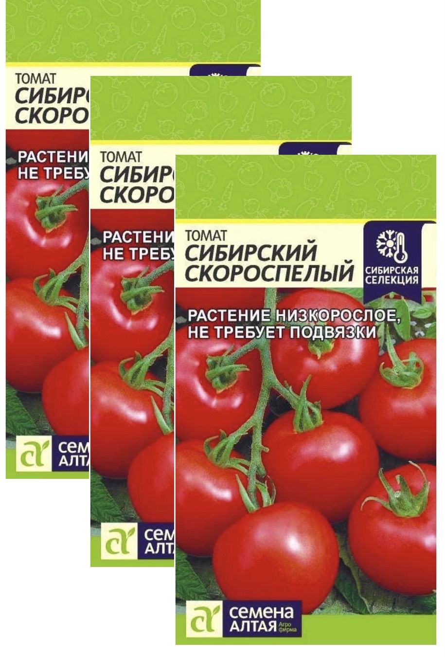Сорт Томатов Сибирский Скороспелый Отзывы Фото