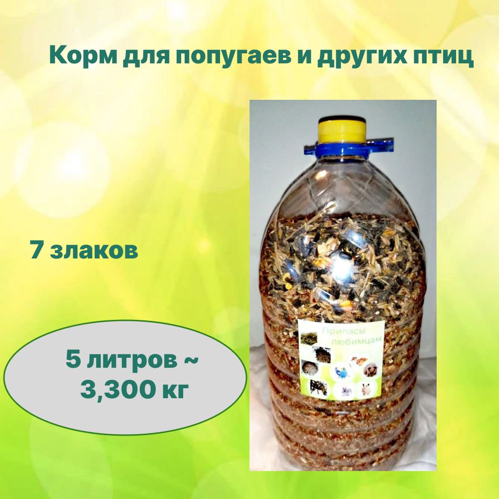 Корм для уличных птиц