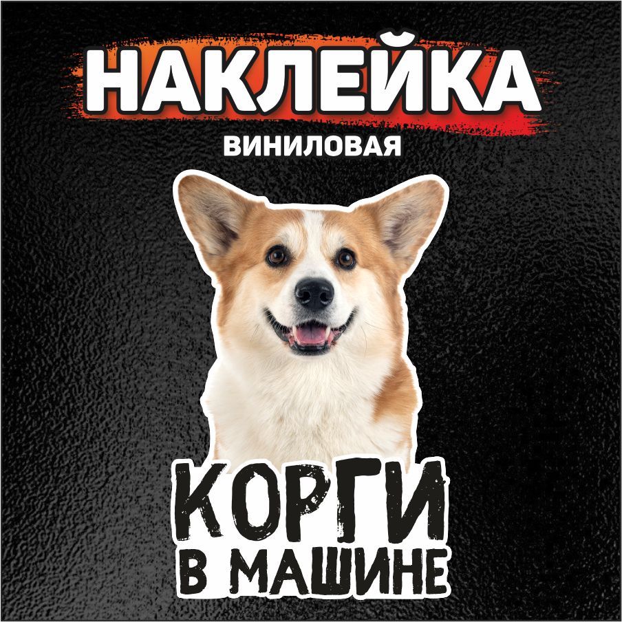 Наклейка на автомобиль, DANGER DOG, Корги в машине