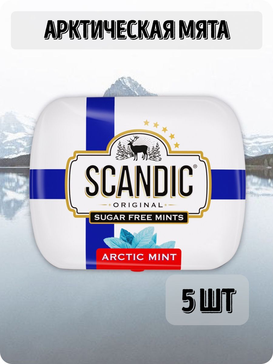 Scandic конфеты Ozon