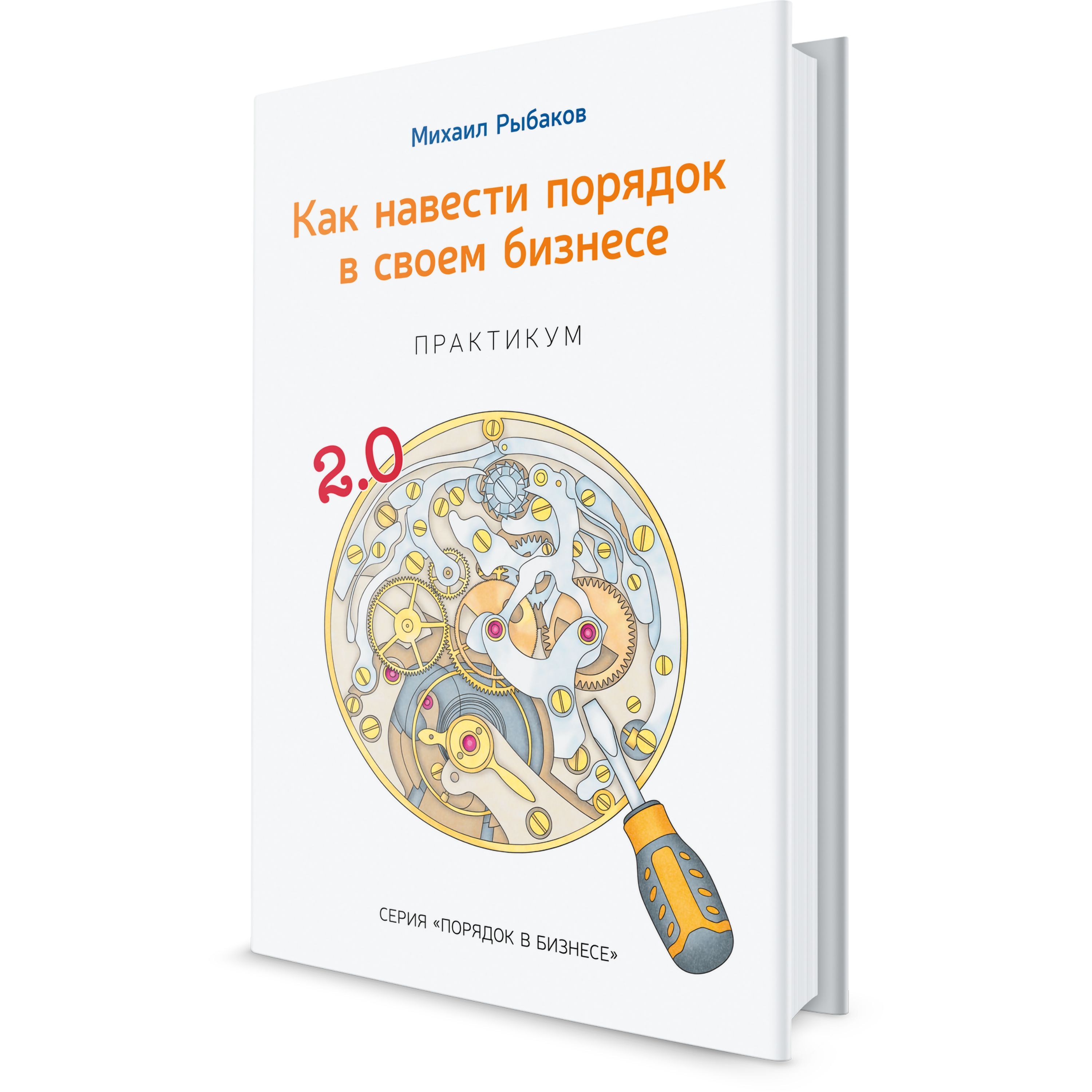 Как навести порядок в своем бизнесе. Практикум. | Рыбаков Михаил Юрьевич