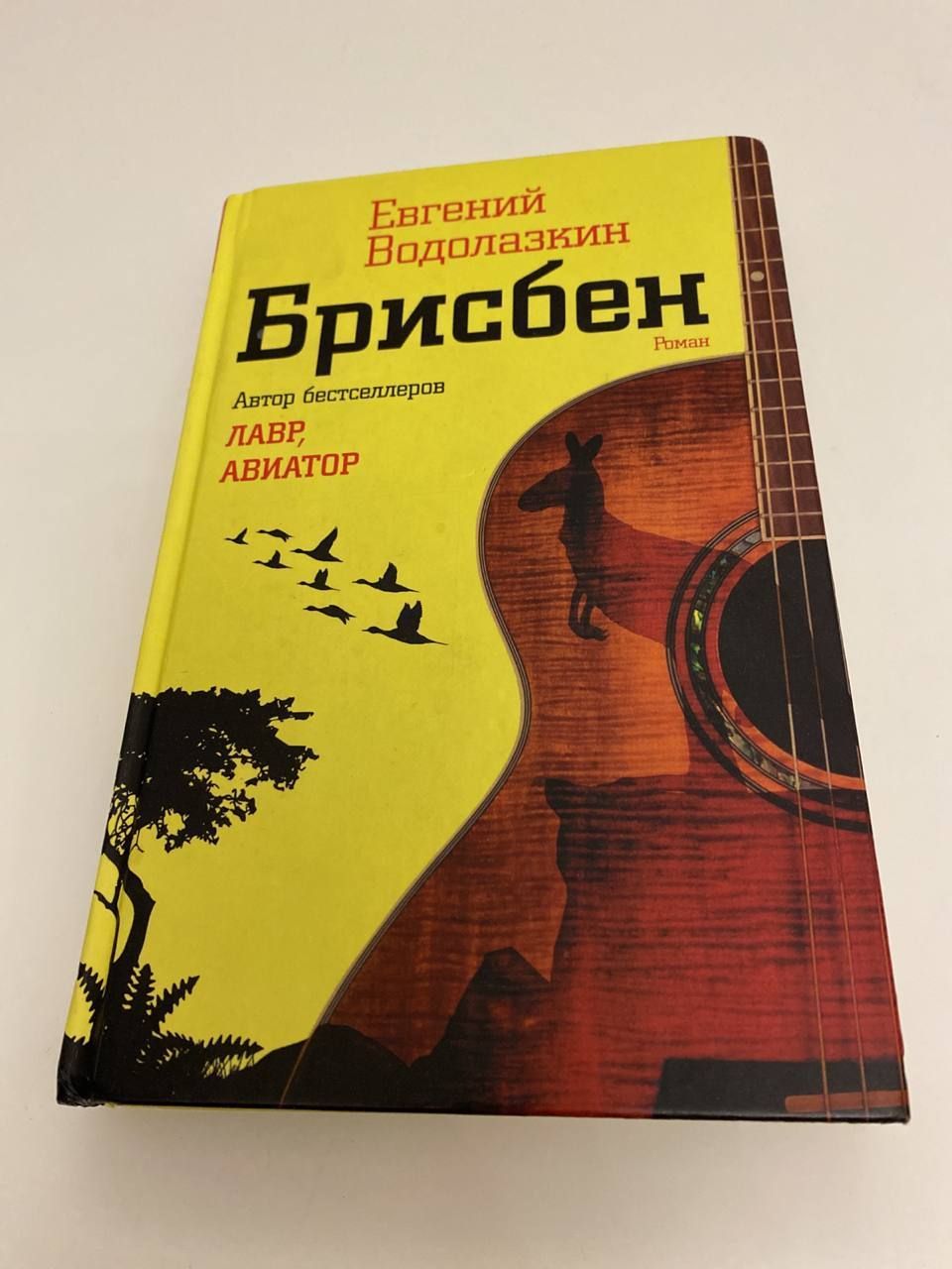 Брисбен Водолазкин. Брисбен Водолазкин книга. Водолазкин Брисбен обложка.