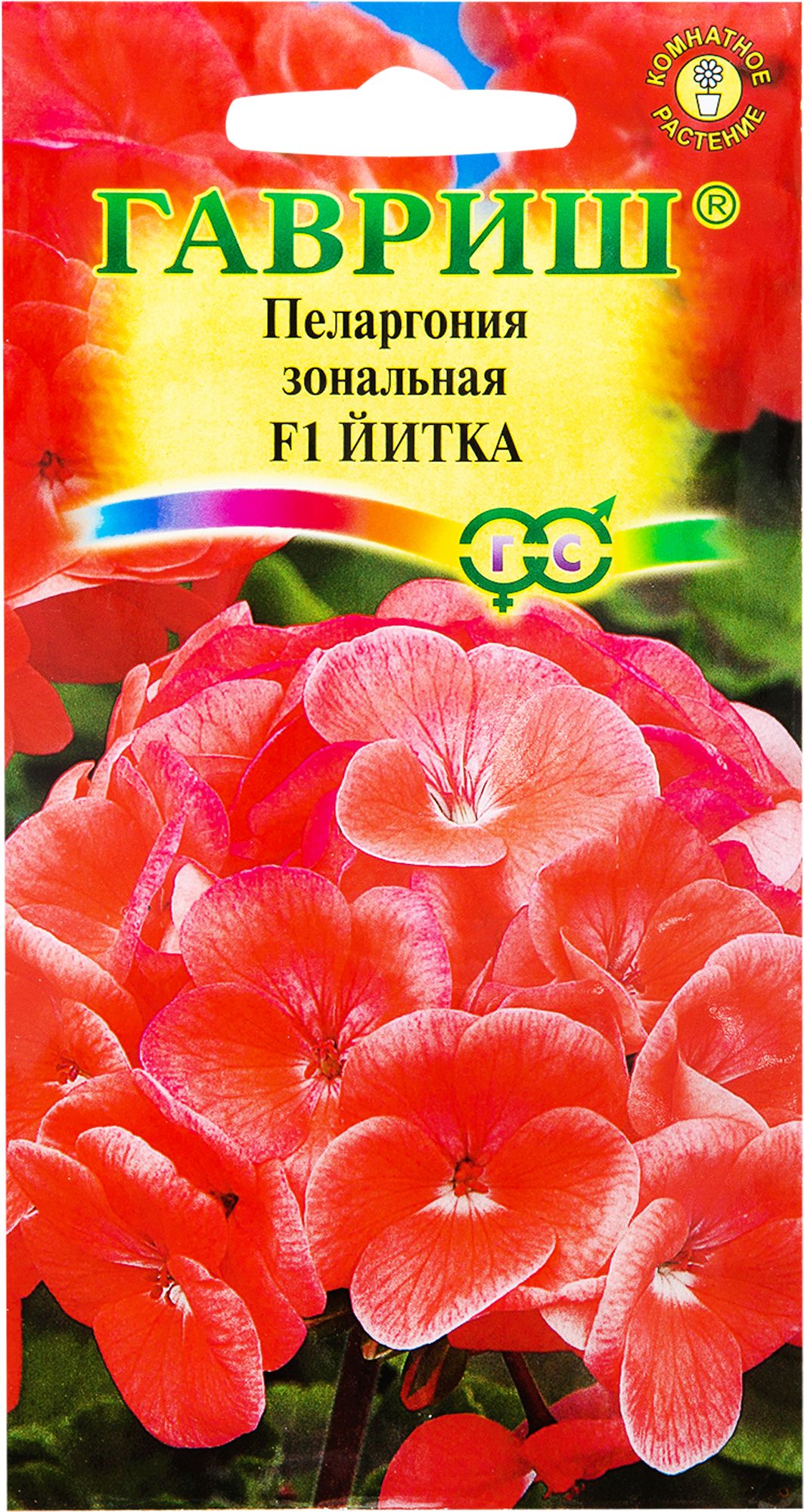 Пеларгония Зональная Купить В Горшке