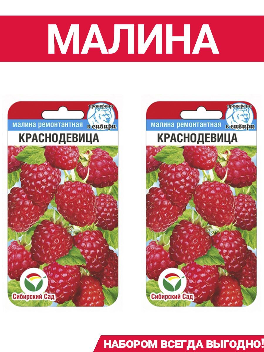 По малину в сад пойдем движения. По малину в сад пойдем. По малину в сад пойдем слова. Картинки по малину в сад пойдем. По малину в сад пойдем текст.