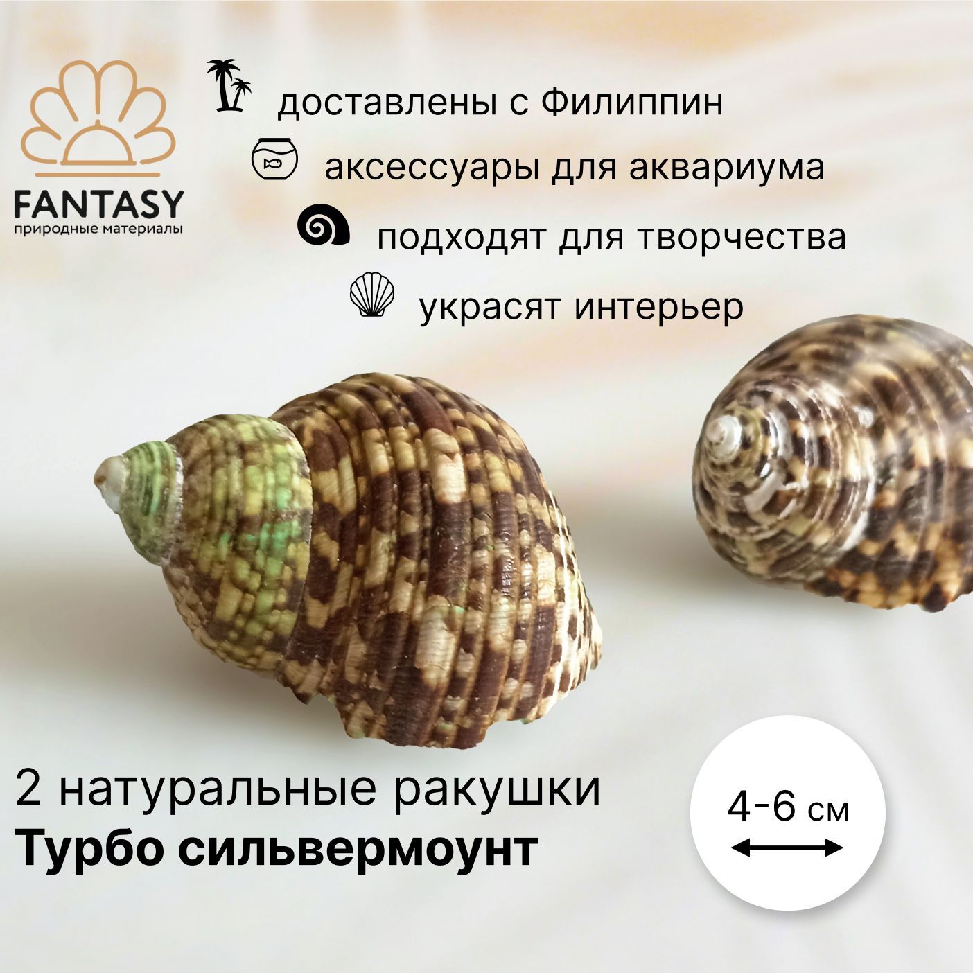 Украшение настольное интерьерное FANTASY Ракушки и звезды - купить по  доступным ценам в интернет-магазине OZON (553553054)