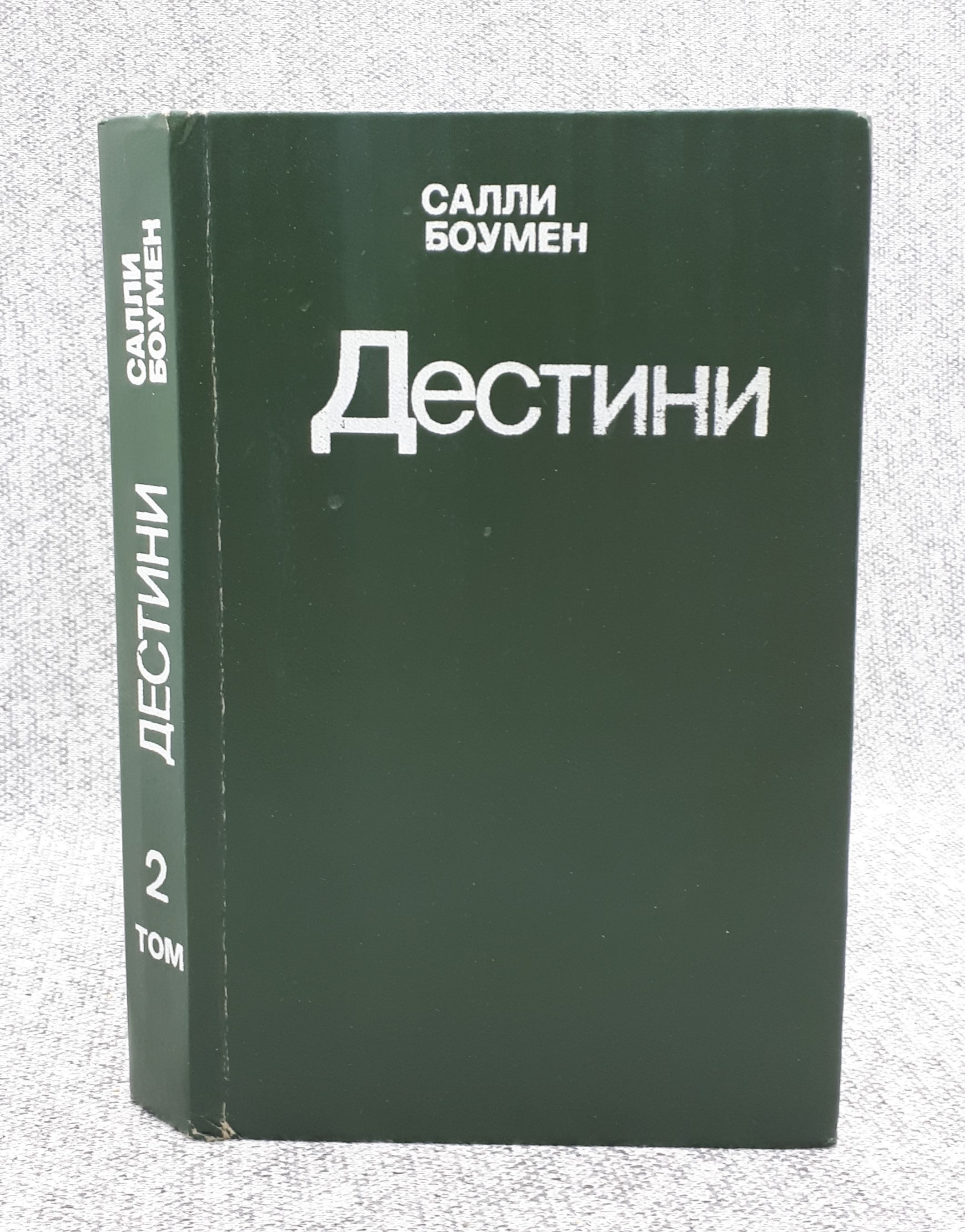 Салли книга. Черная Салли книга. Книга Салли и Дэвид най.