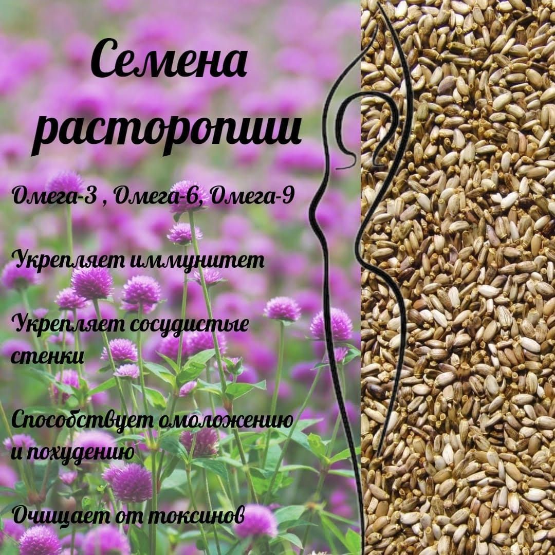 Расторопша пятнистая Семена 1 кг. - купить с доставкой по выгодным ценам в  интернет-магазине OZON (994718067)