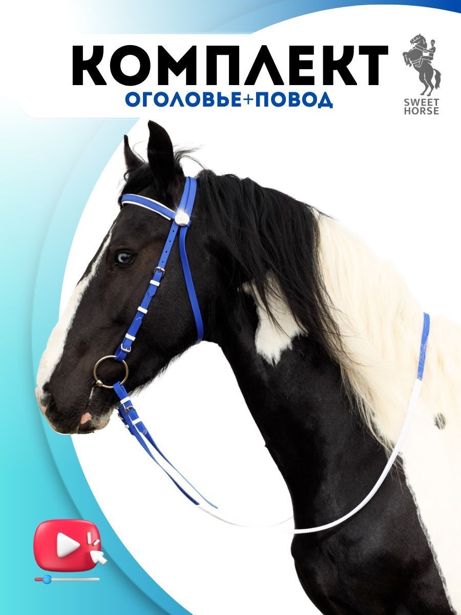 Sweethorse / Комплект оголовье + повод для лошади/Pony