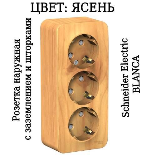 Розетка ясень. Розетка ясень