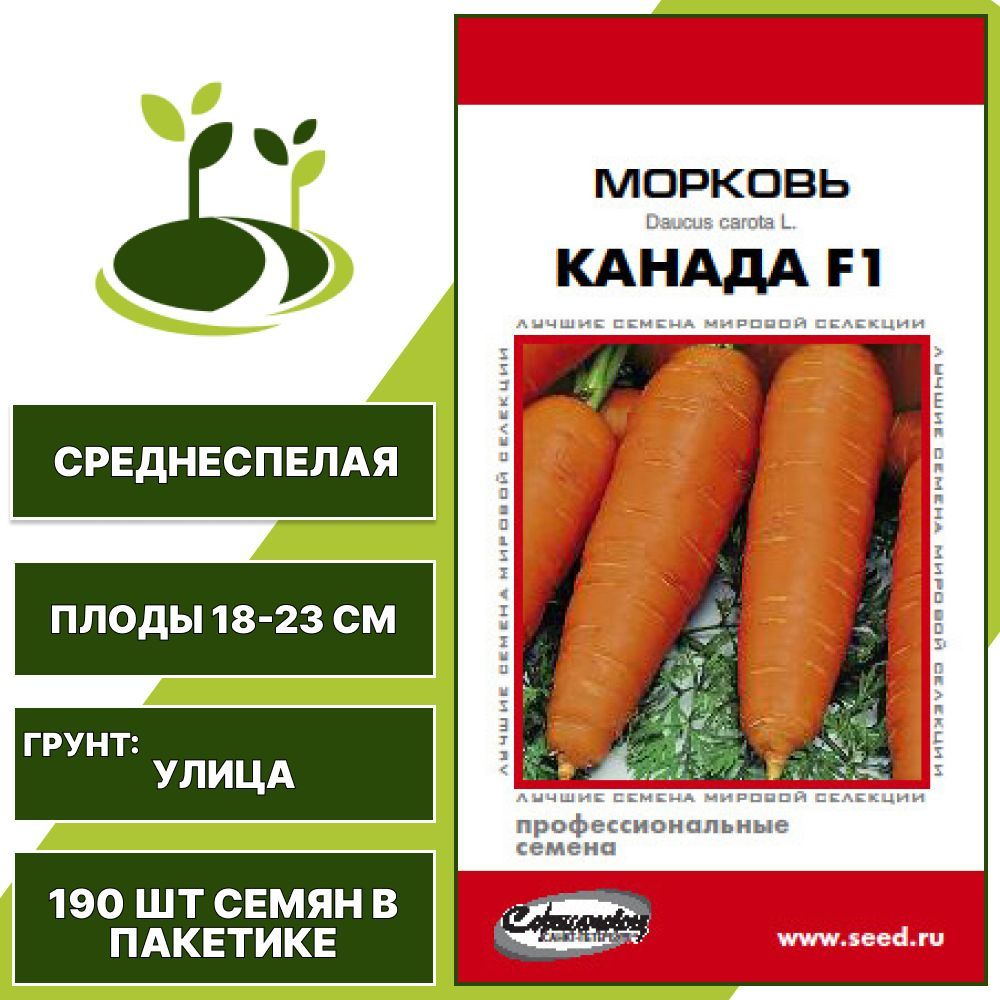 Семена дом семян. Дом семян на парнасе. Твой дом семена. Расфасовка семян на дому. Огурец алексеич.