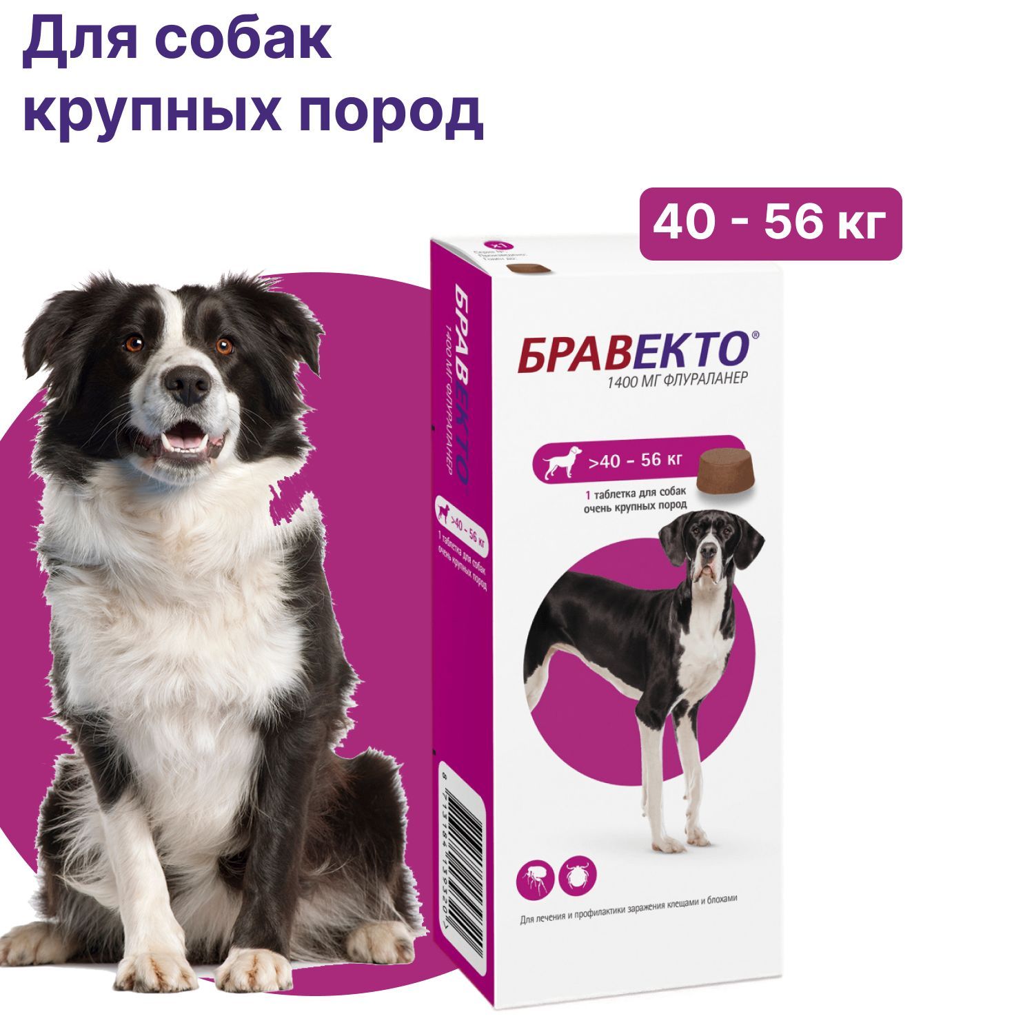 Бравекто таблетка для собак 40 56 купить. Бравекто таблетки для собак 40-56. Бравекто для собак 20-40. Бравекто для собак 20-40 кг таблетки. Бравекто для собак 40-56 кг.
