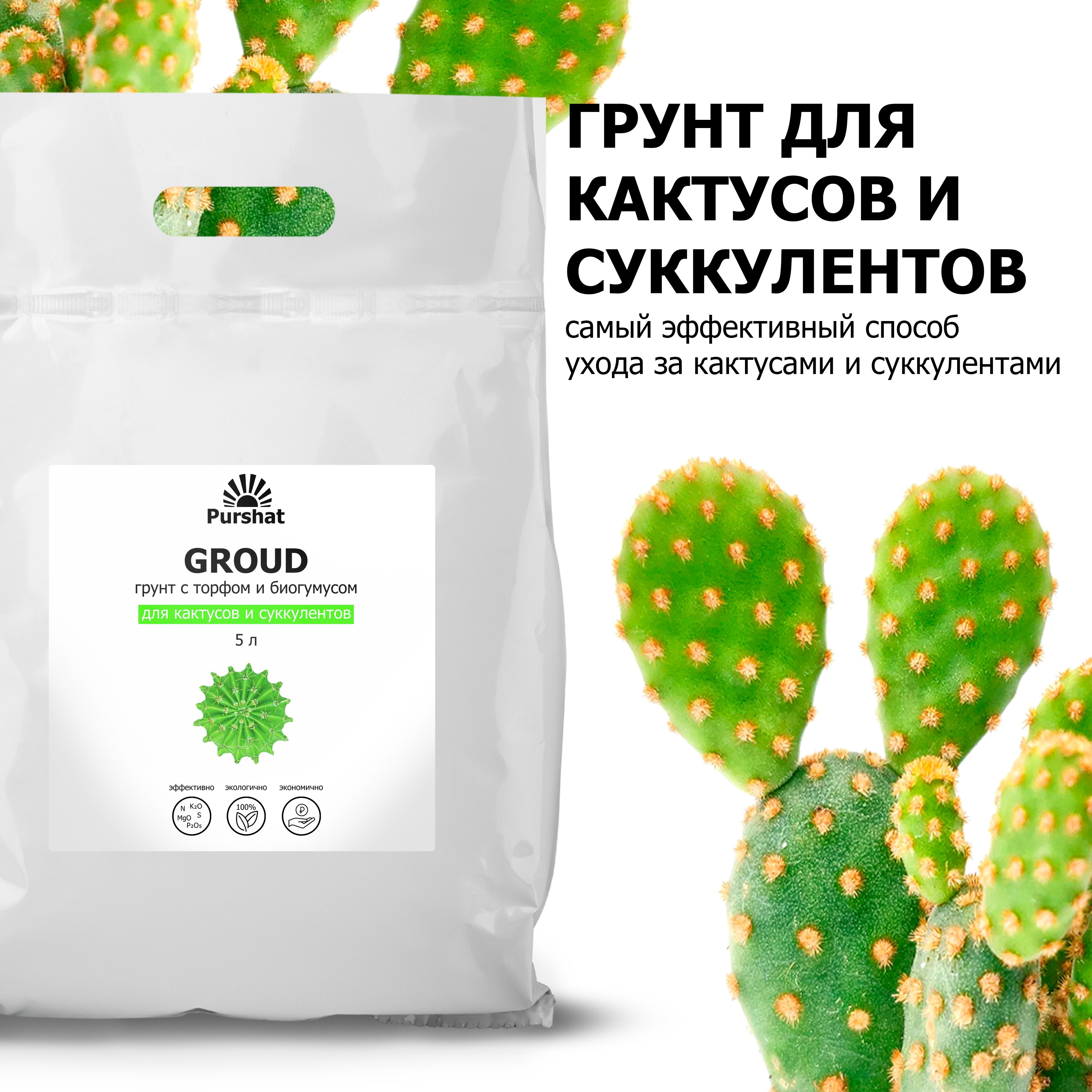 Подходящий грунт для суккулентов. Грунт для кактусов. земля для суккулентов. грунт для суккулентов состав. какая почва нужна для суккулентов.