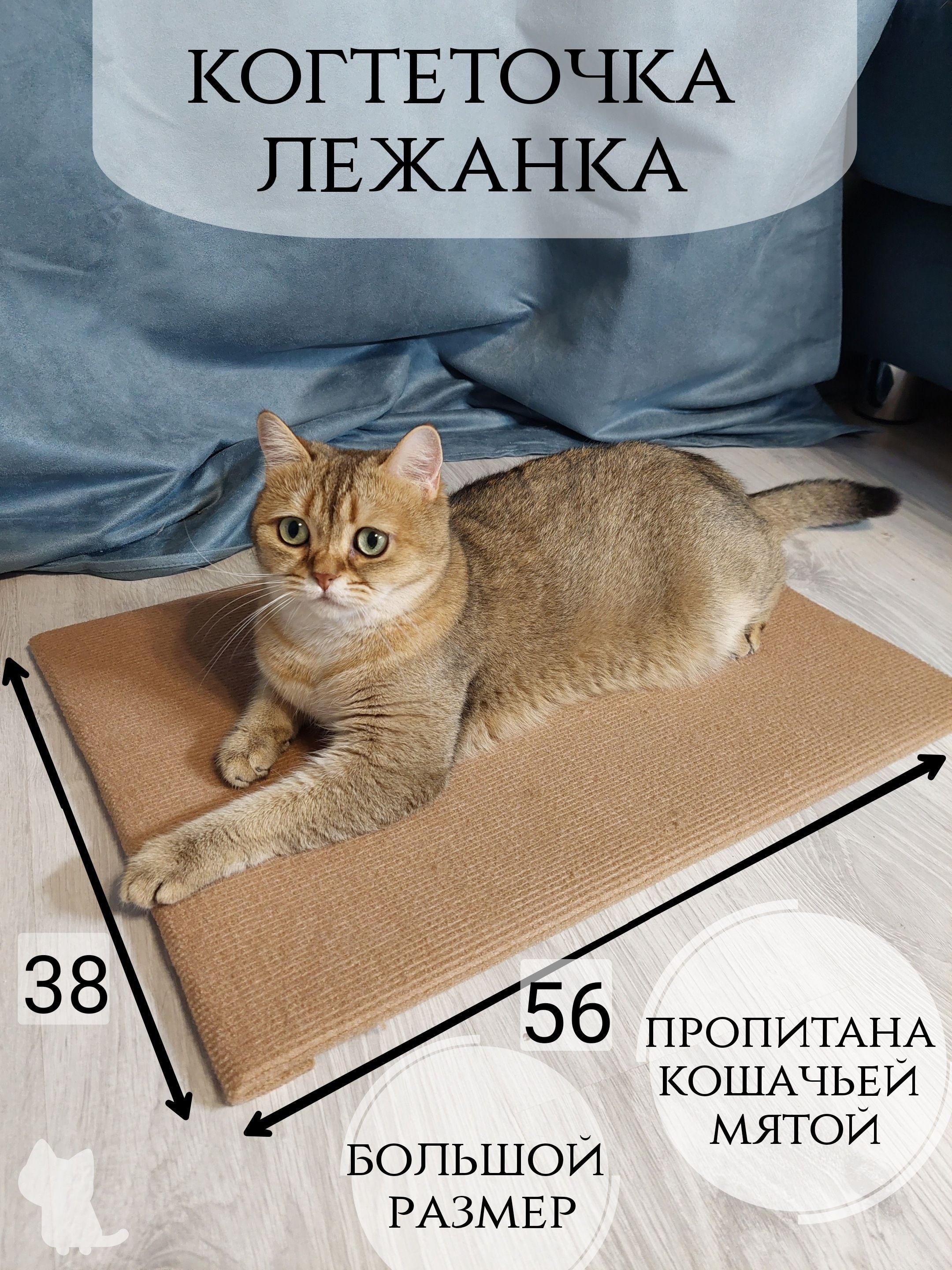 Когтеточка Лежанка Для Кошек Москва Купить
