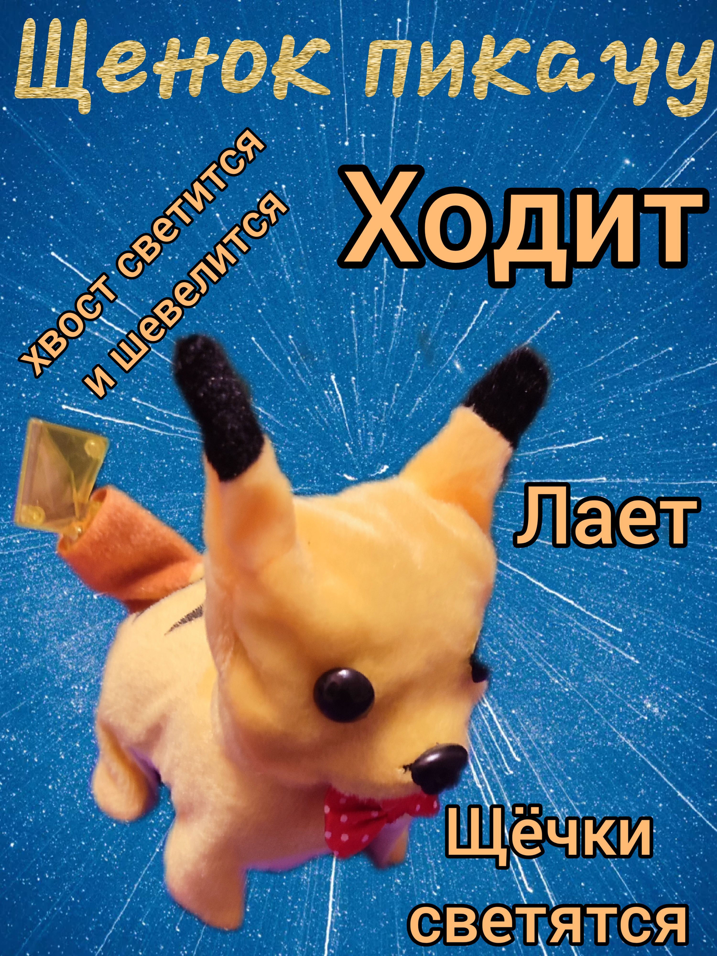 Собачка пикачу