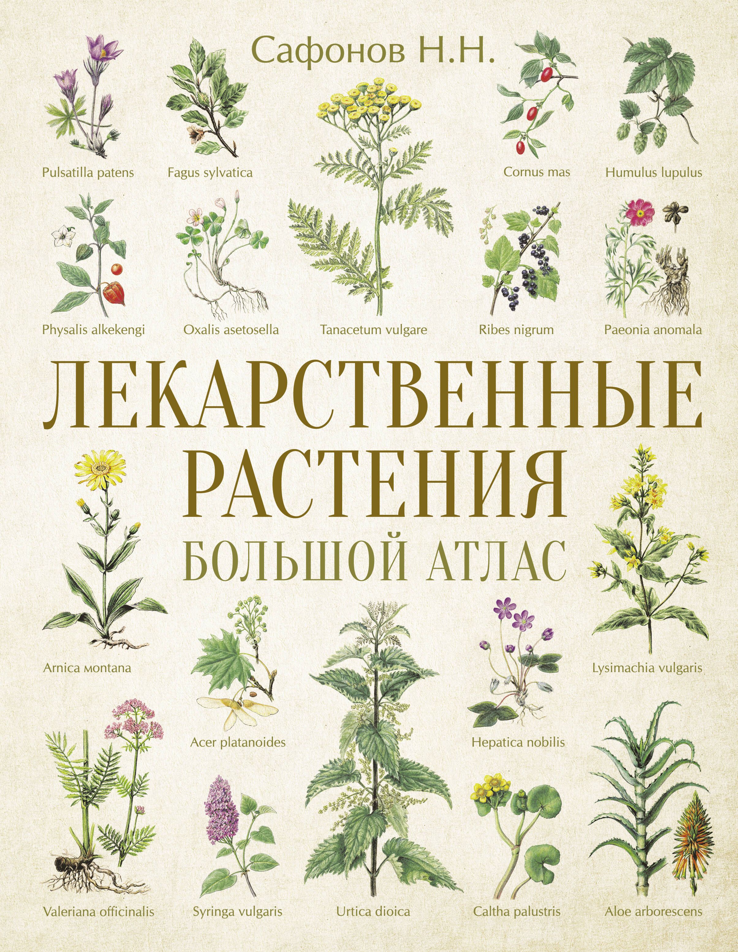 Атлас Лекарственных Растений Ссср 1962 Купить
