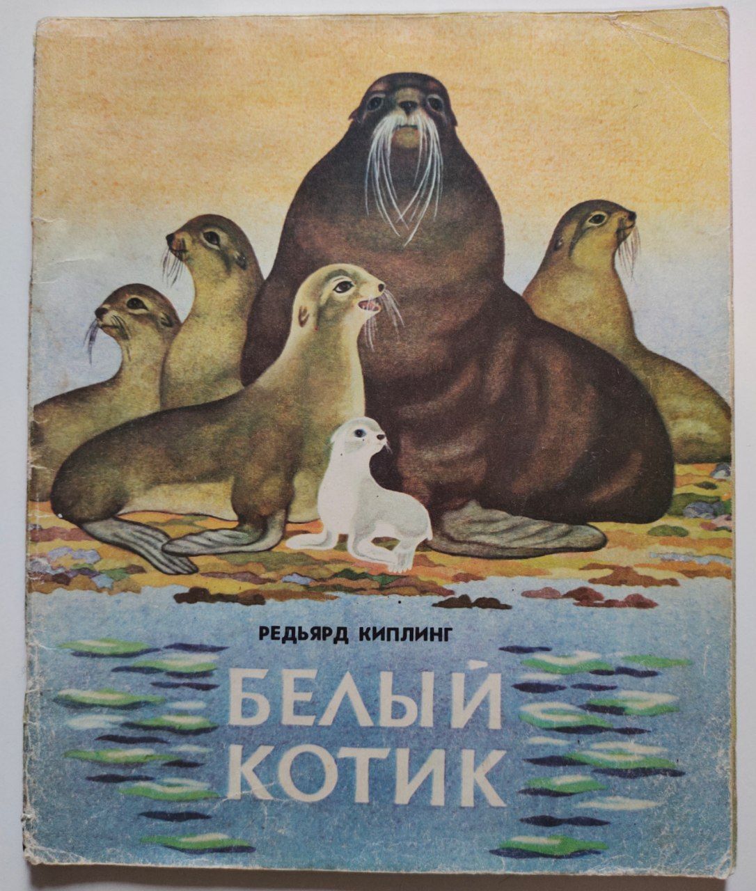 Сказка тюлени
