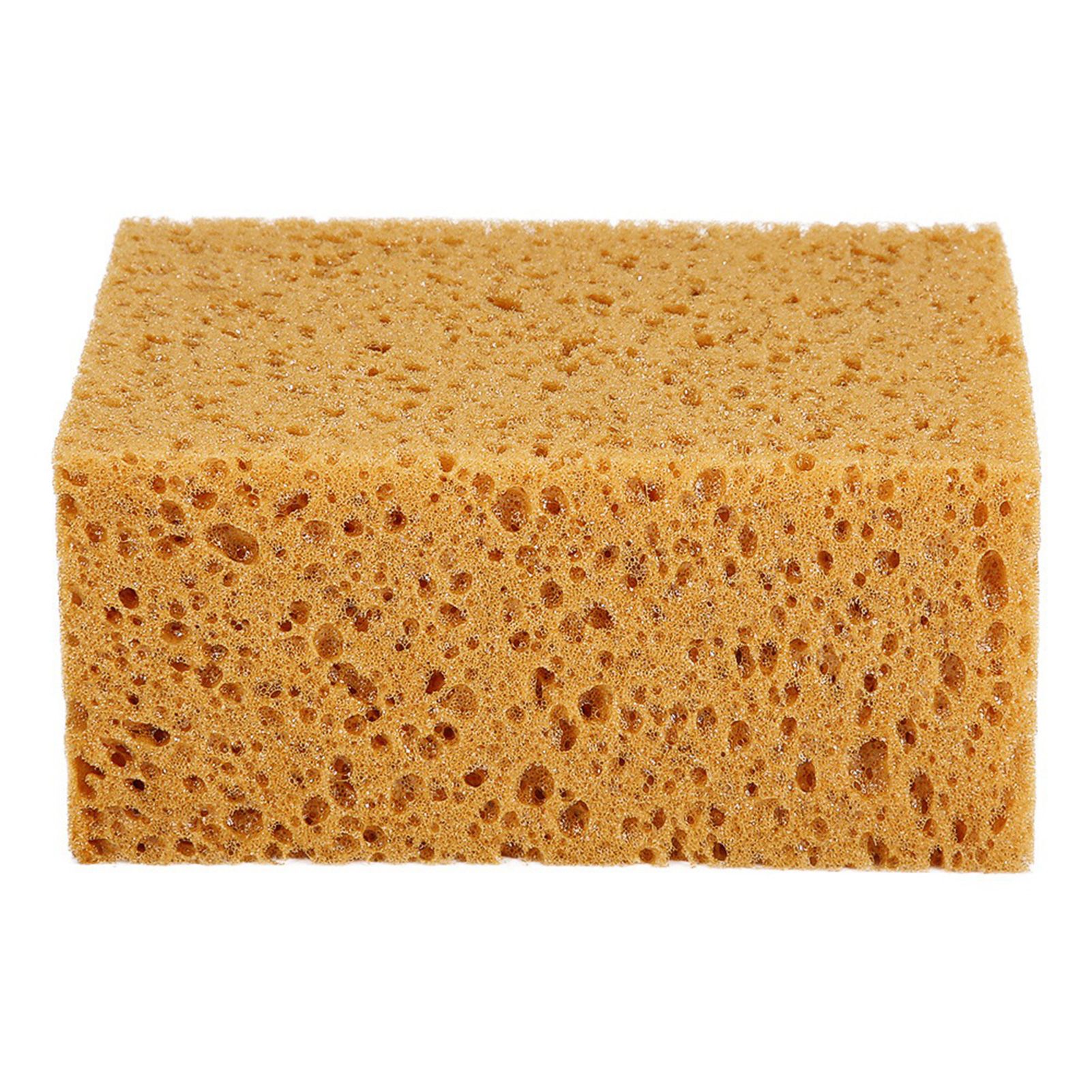 Sponge square. Sponge square