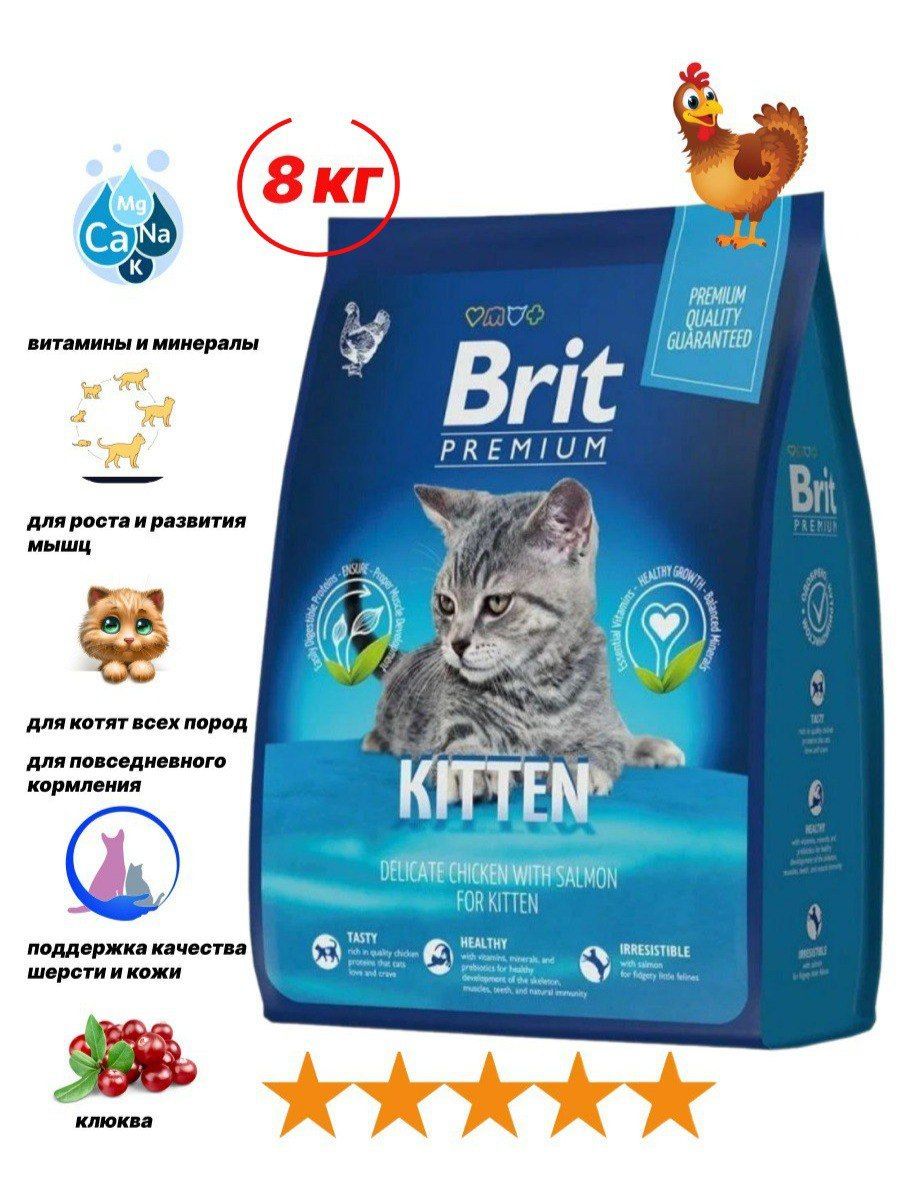 Brit сухой корм для котят. Brit care для стерилизованных кошек. Брит премиум для котят с месяца. Сухой корм brit care для кошек. Brit sterilised корм для кошек.
