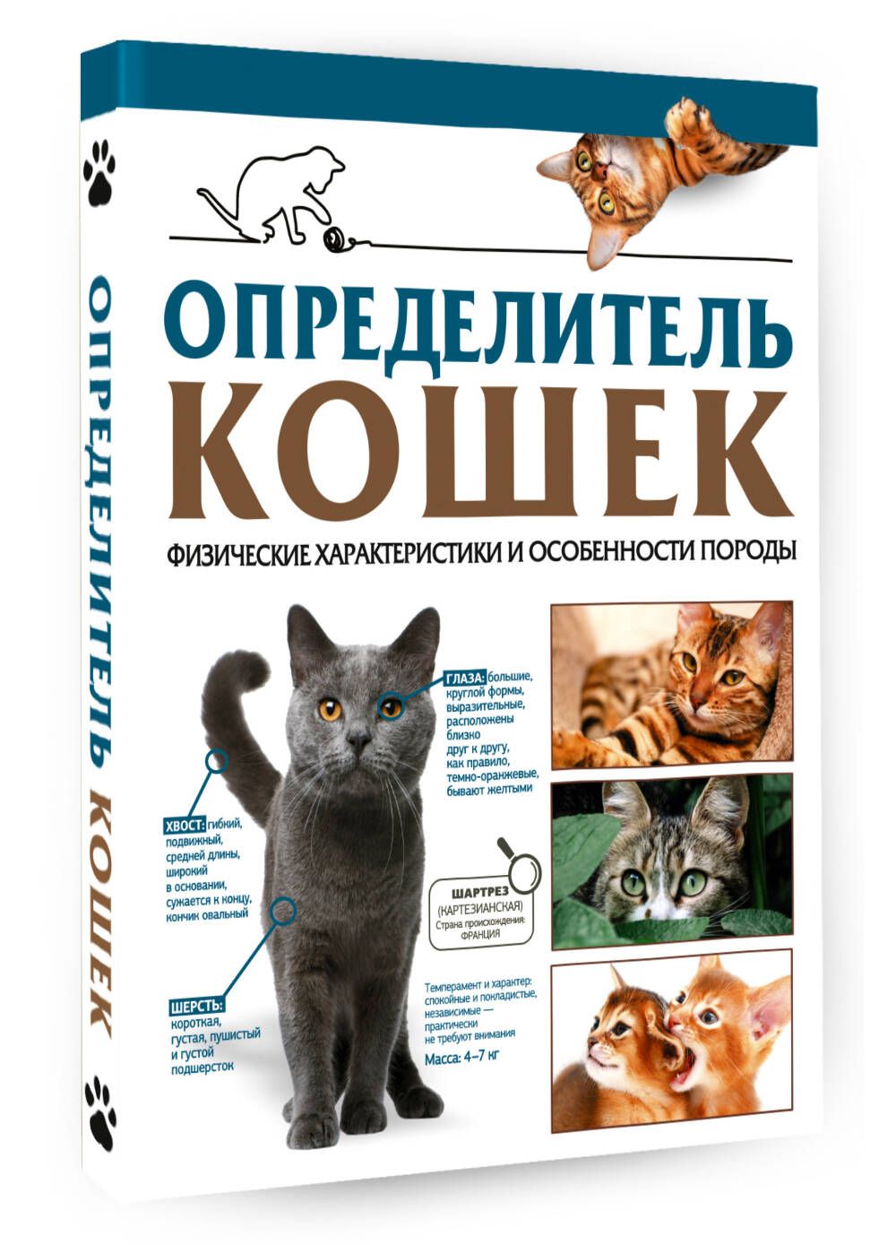 Определитель кошек. Физические характеристики и особенности породы |  Смирнов Дмитрий Сергеевич, Спектор Анна Артуровна - купить с доставкой по  выгодным ценам в интернет-магазине OZON (1261303259)