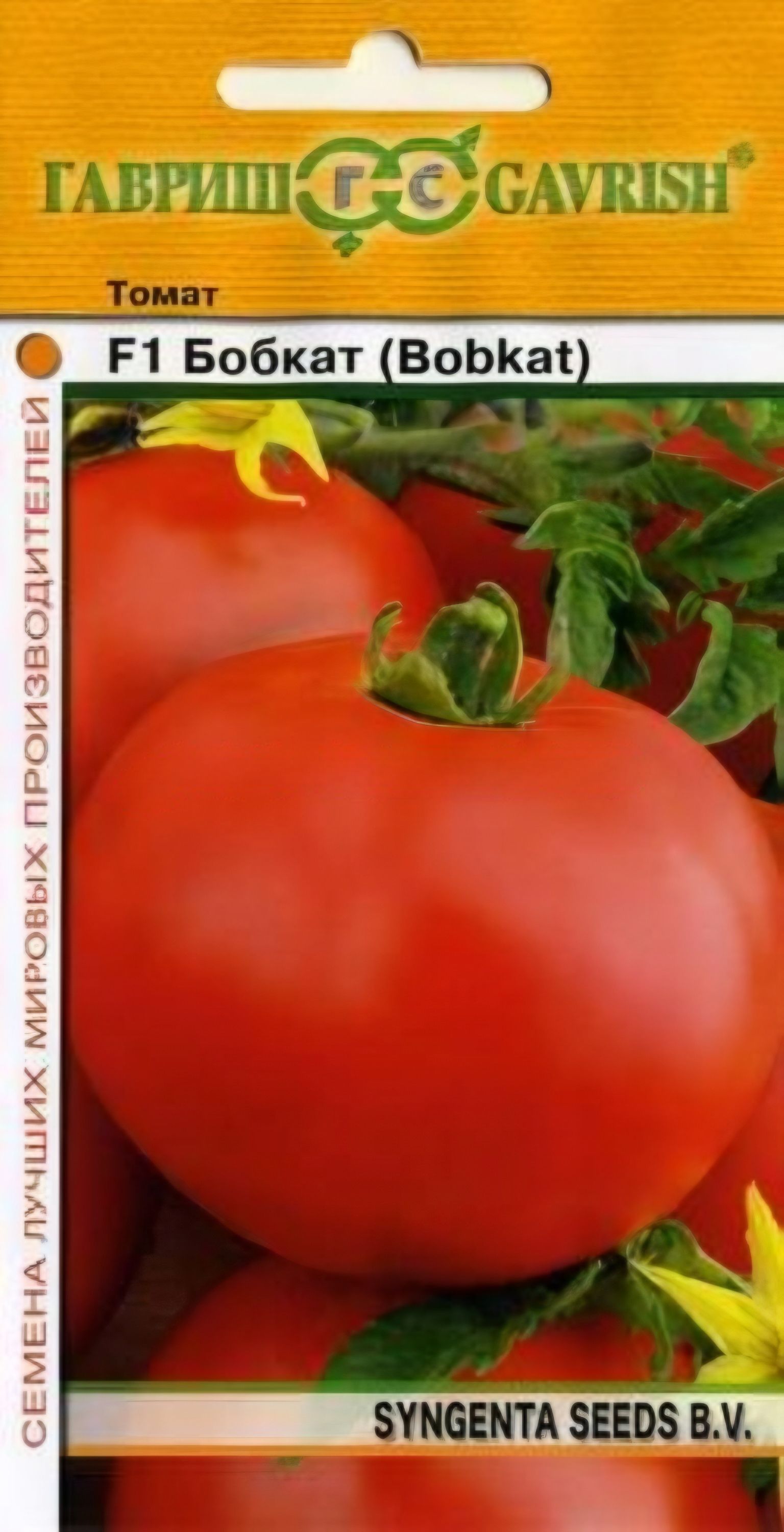 Урожайность томата бобкат