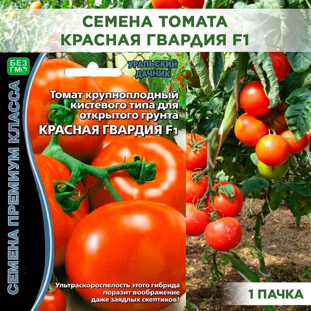 Томат красная звезда f1 /ур. Красная гвардия томат описание. Желтеет у томатов плода. Томат красная гвардия характеристика. Томат третьяковский f1 "семена премиум класса" 10шт (уральский дачник).