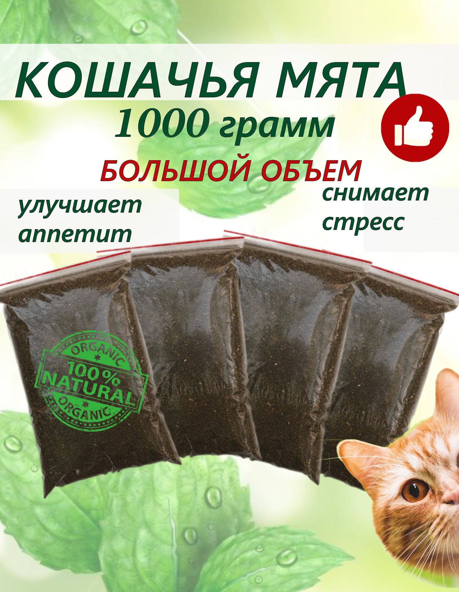 Кошачья мята сушеная для кошек 1кг ( 250, 500 грамм). Котовник рассыпной. Большой объем. Трава для кошек и для котов. Для когтеточки, приучения к месту, коррекции поведения, успокоительное.