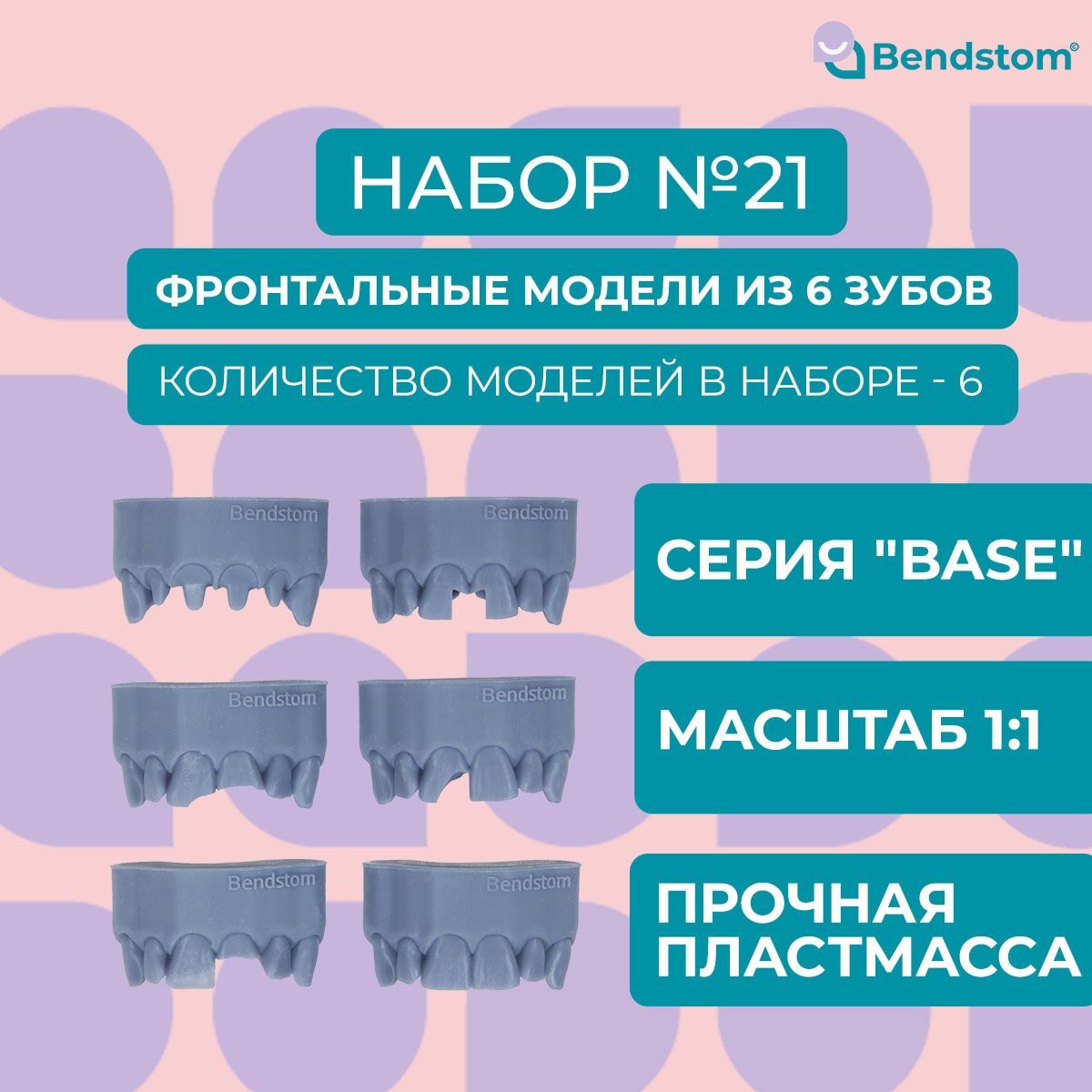 Набор №21 Base фронтальные модели из 6 зубов (6 штук) препарированные + анатомия / для отработки мануальных навыков / стоматологические модели для реставрации