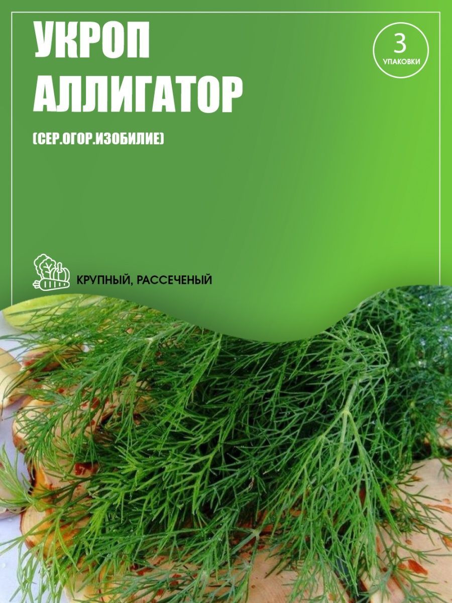 Укроп аллигатор описание. Укроп Аллигатор. Зелень 42. Аллигатор укроп 100 гр поиск.