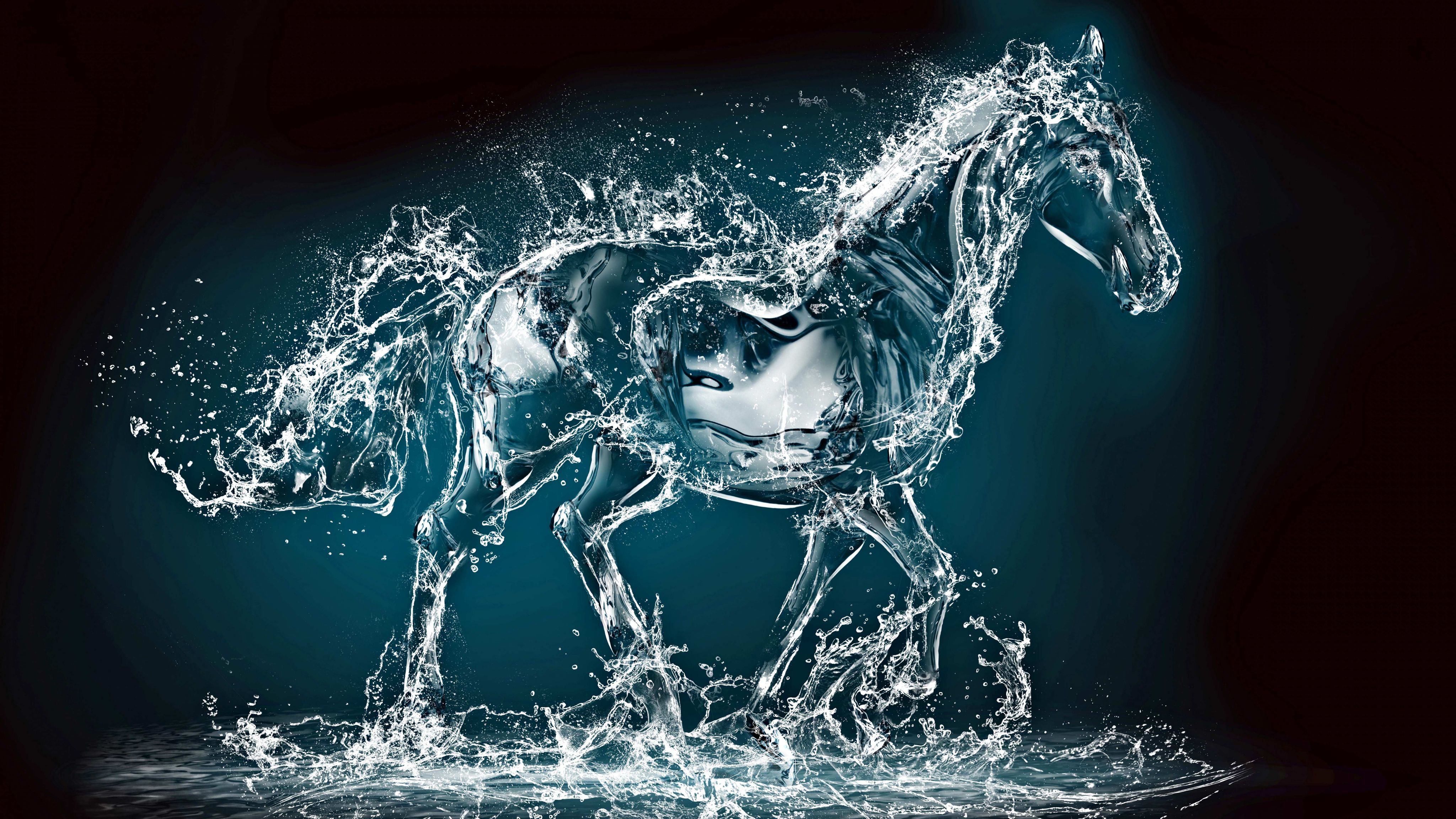 Водолей год лошади мужчина. Водяной конь. Лошадь из воды. Заставка на рабочий стол лошади. Лошадь в брызгах воды.