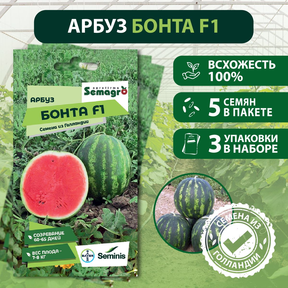 Купить Голландские Семена Арбуза Виктория И Крисби