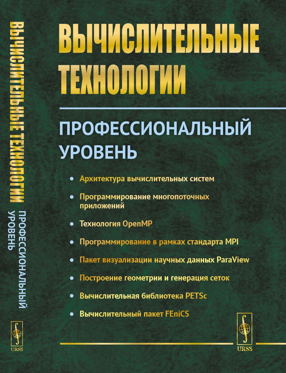 Вычислительные технологии: Профессиональный уровень | Вабищевич Петр Николаевич